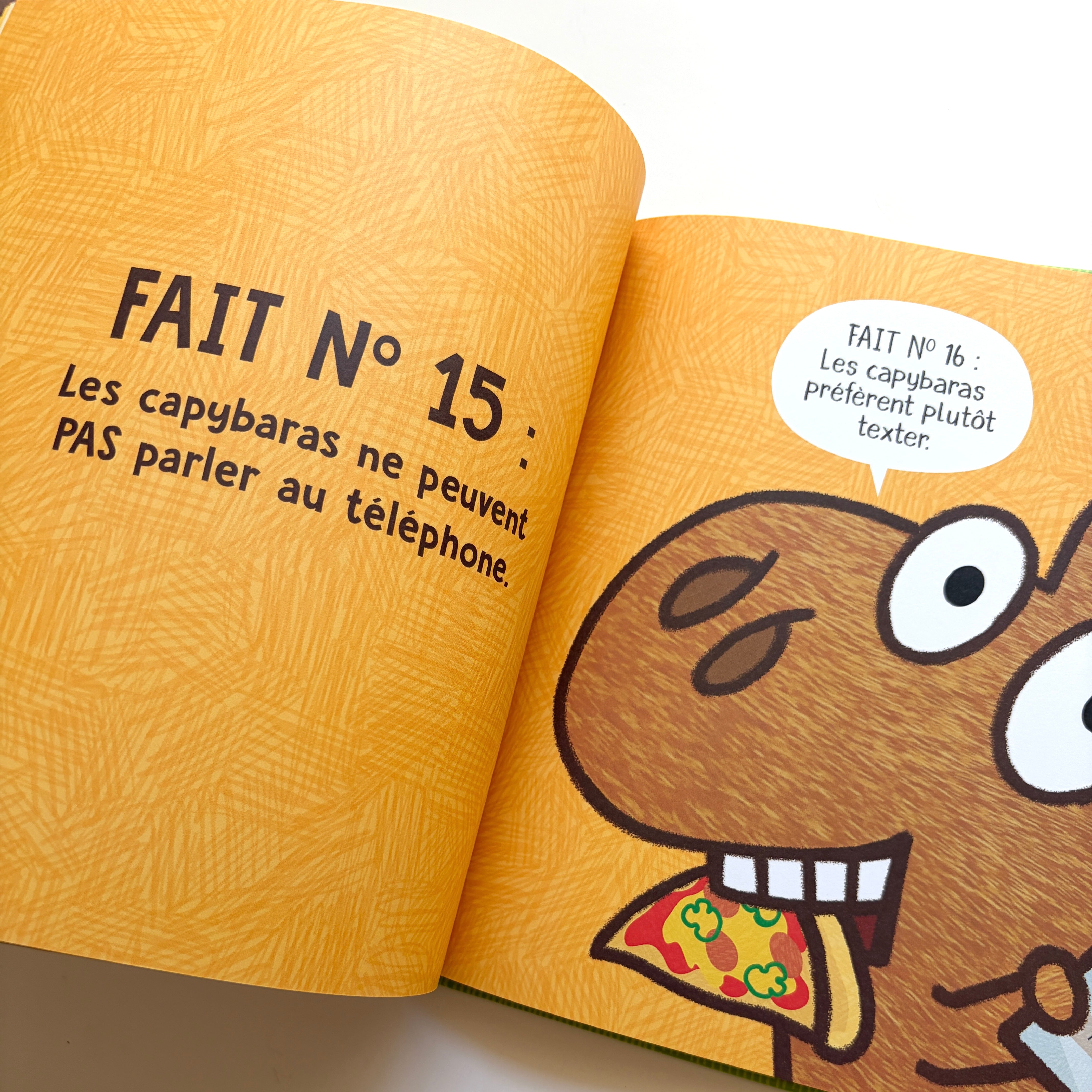Livre d'histoire - 10 faits étonnants sur les capybaras