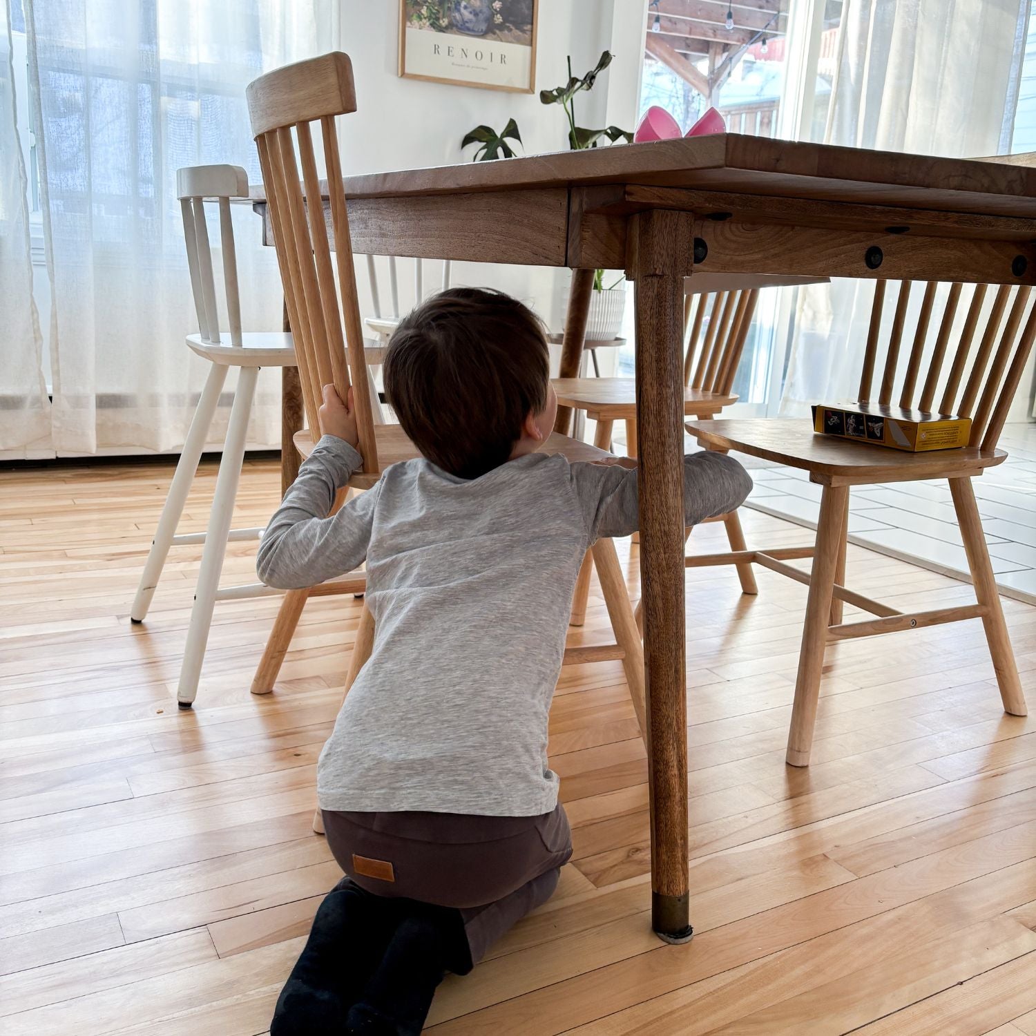 Boîte Chasse aux cocos - Mission l'ère des Dinos