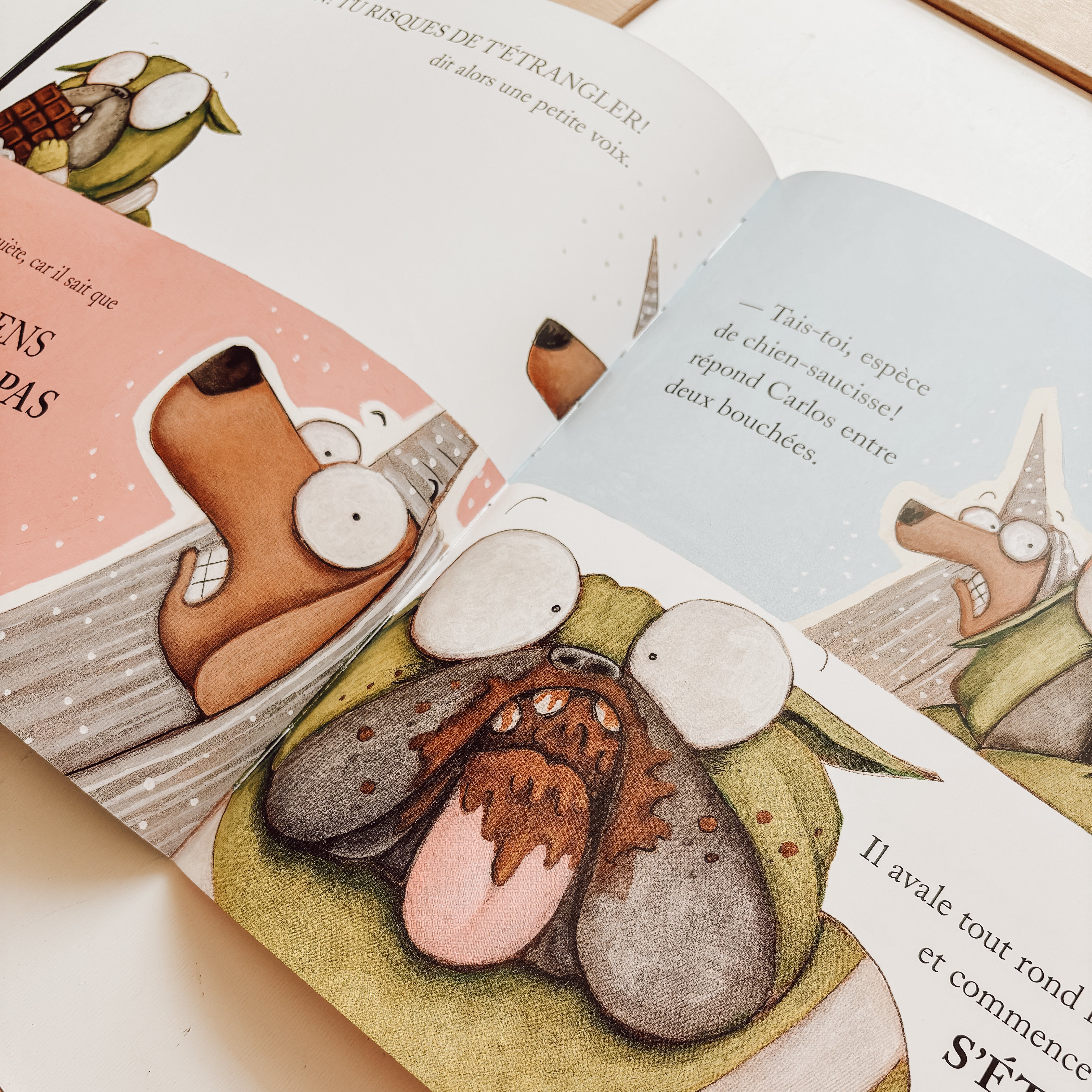 Livre d'histoire - Carlos le monstre