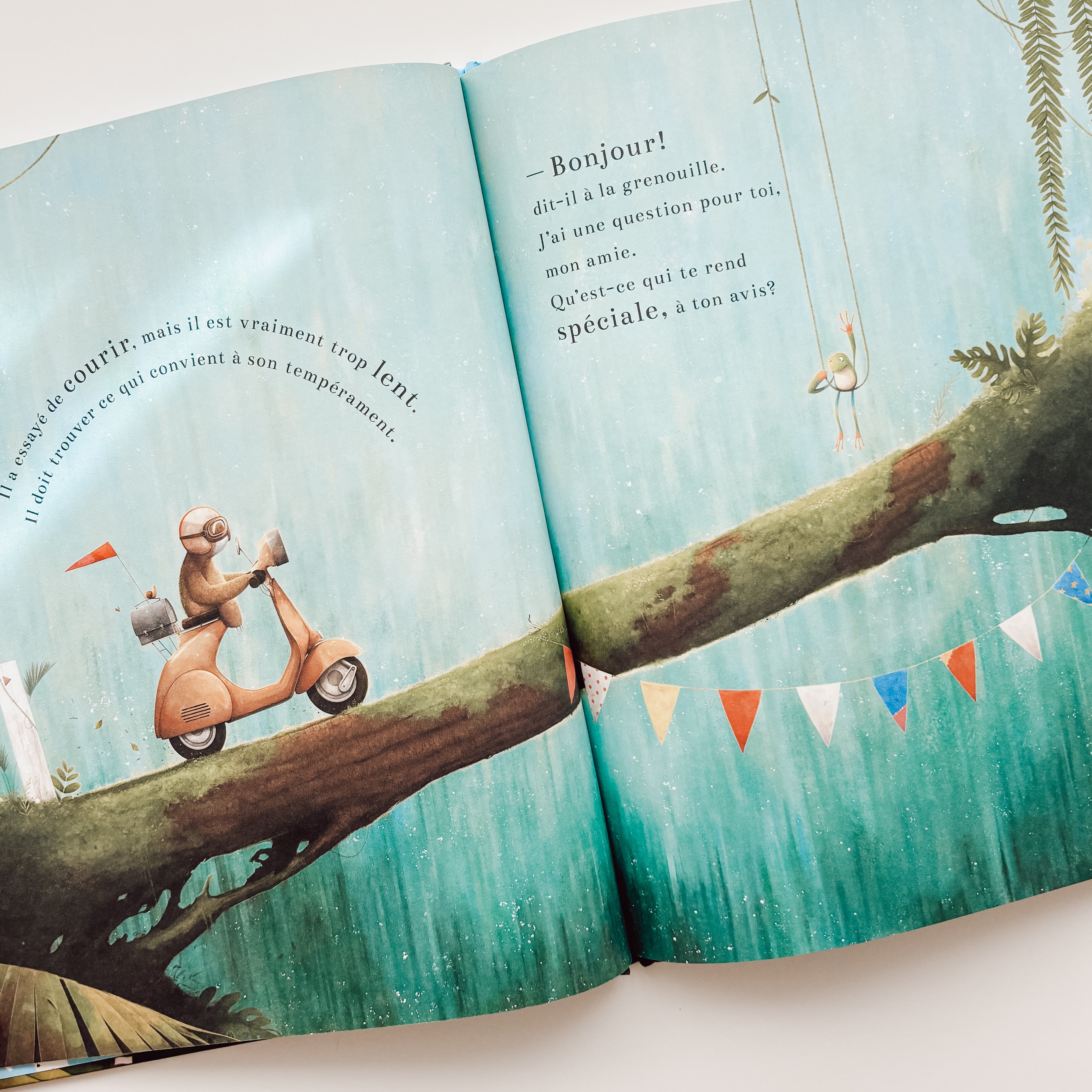 Livre d'histoire - Crois en toi