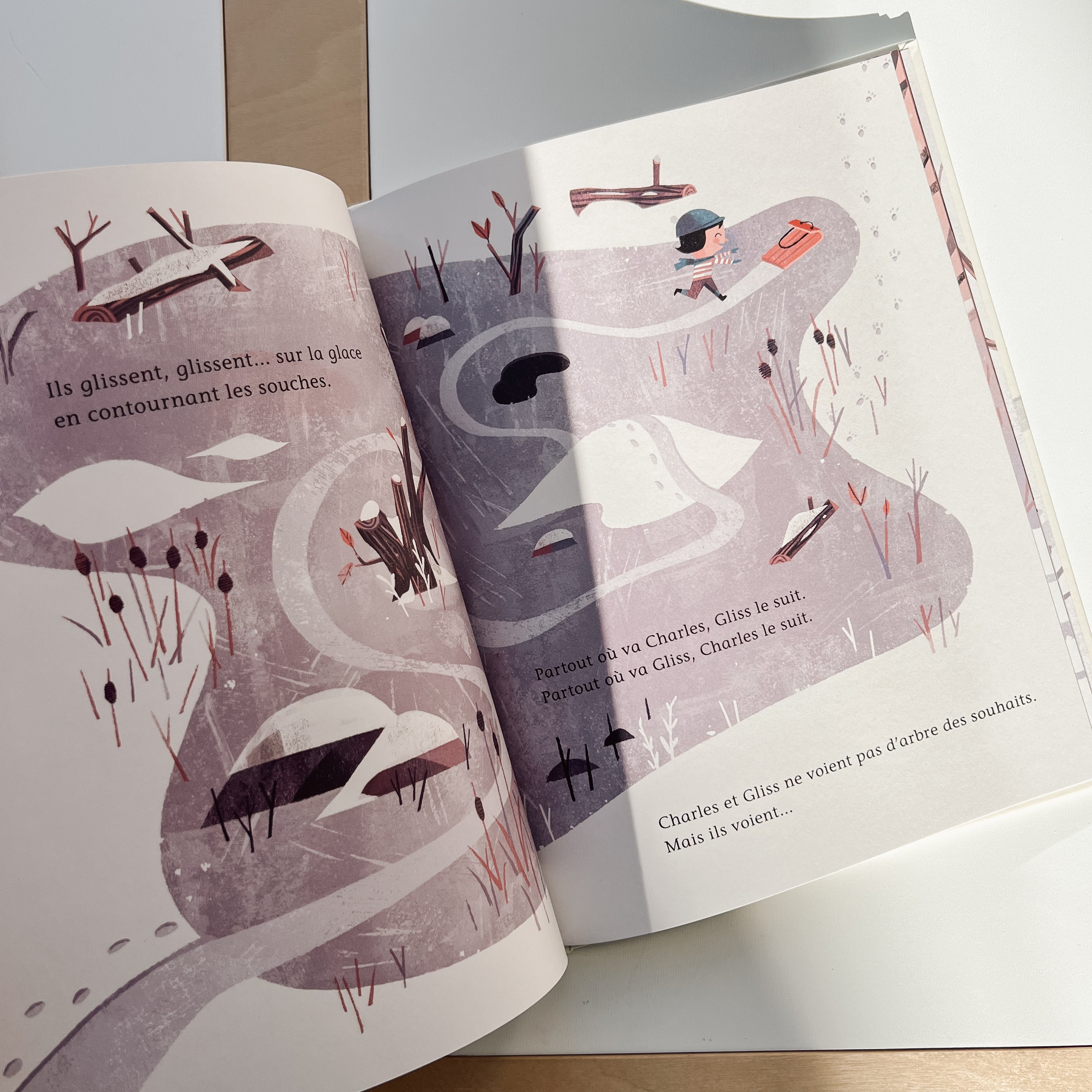 Livre d'histoire - L'arbre des souhaits