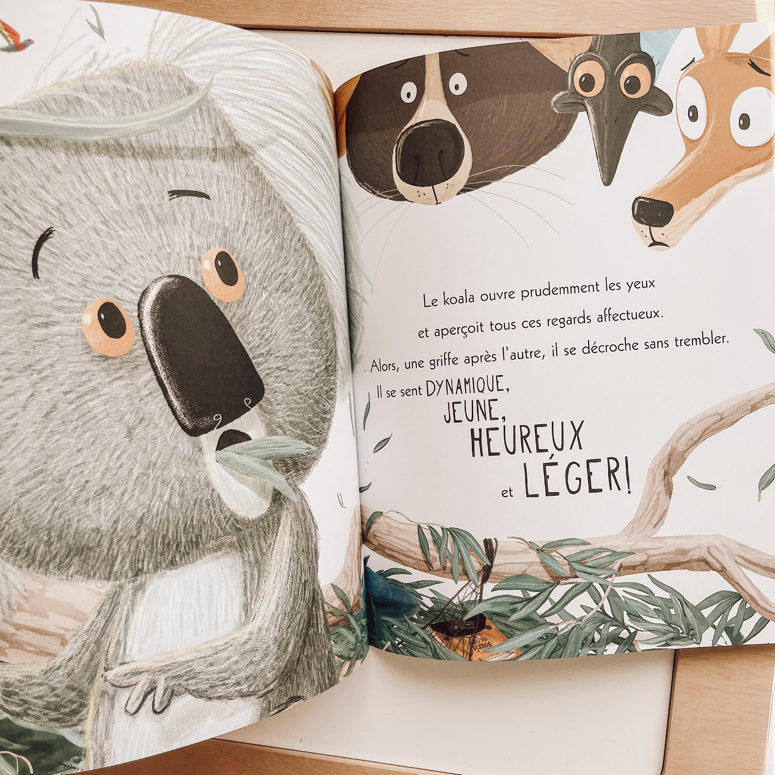 Livre d'histoire - Le Koala qui ne voulait pas