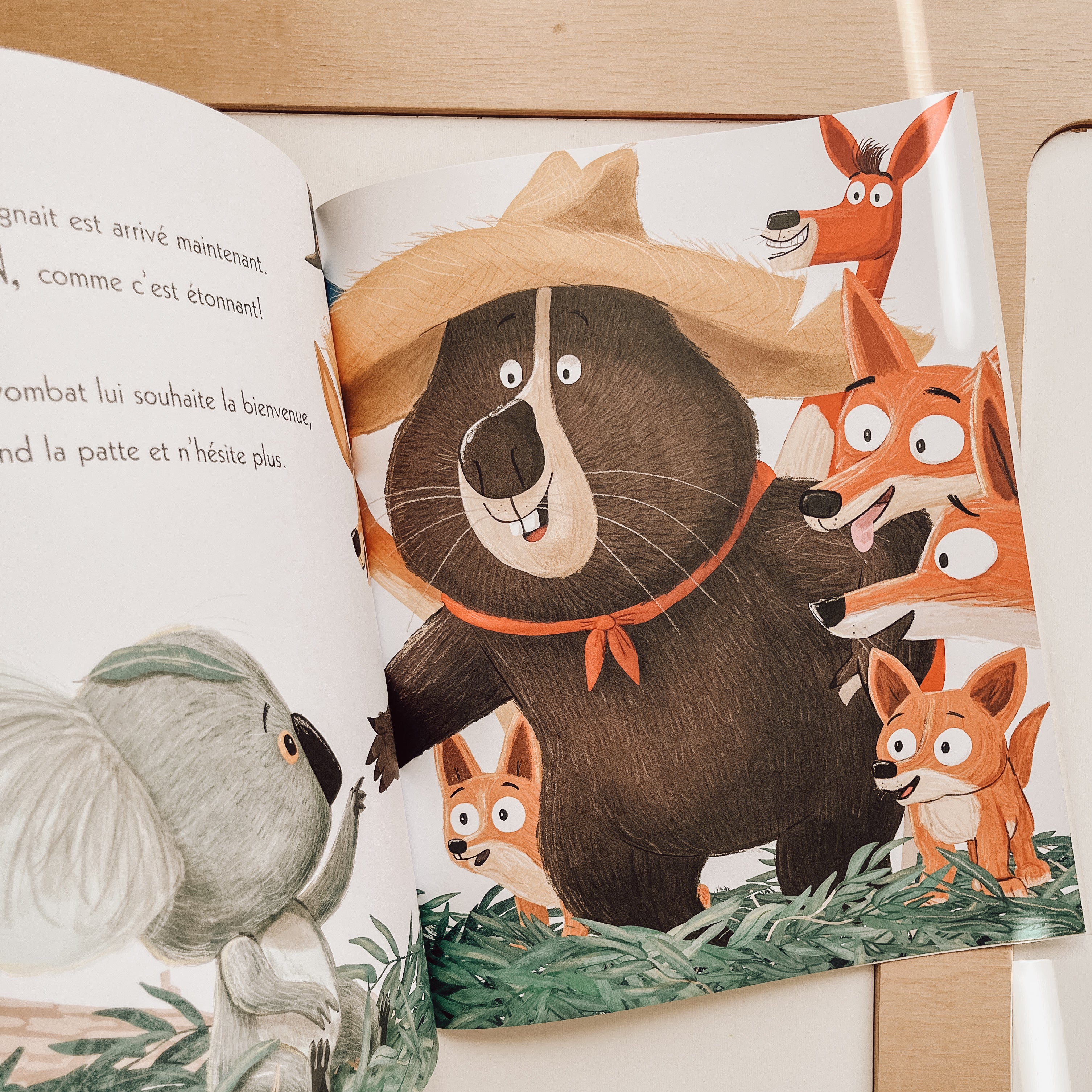 Livre d'histoire - Le Koala qui ne voulait pas