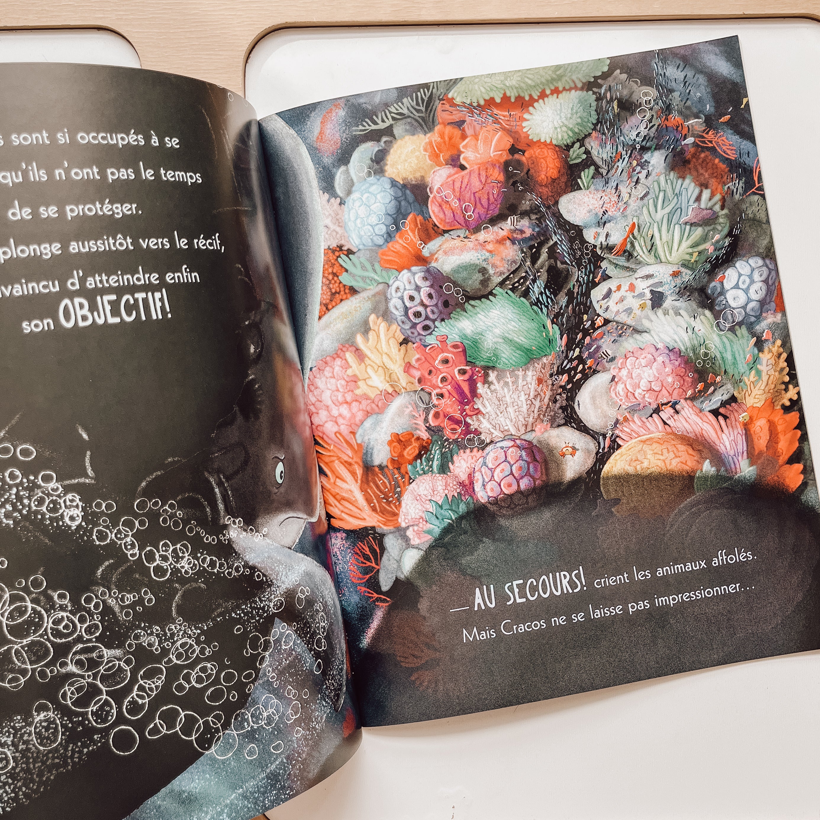 Livre d'histoire - Le cachalot qui en voulait trop