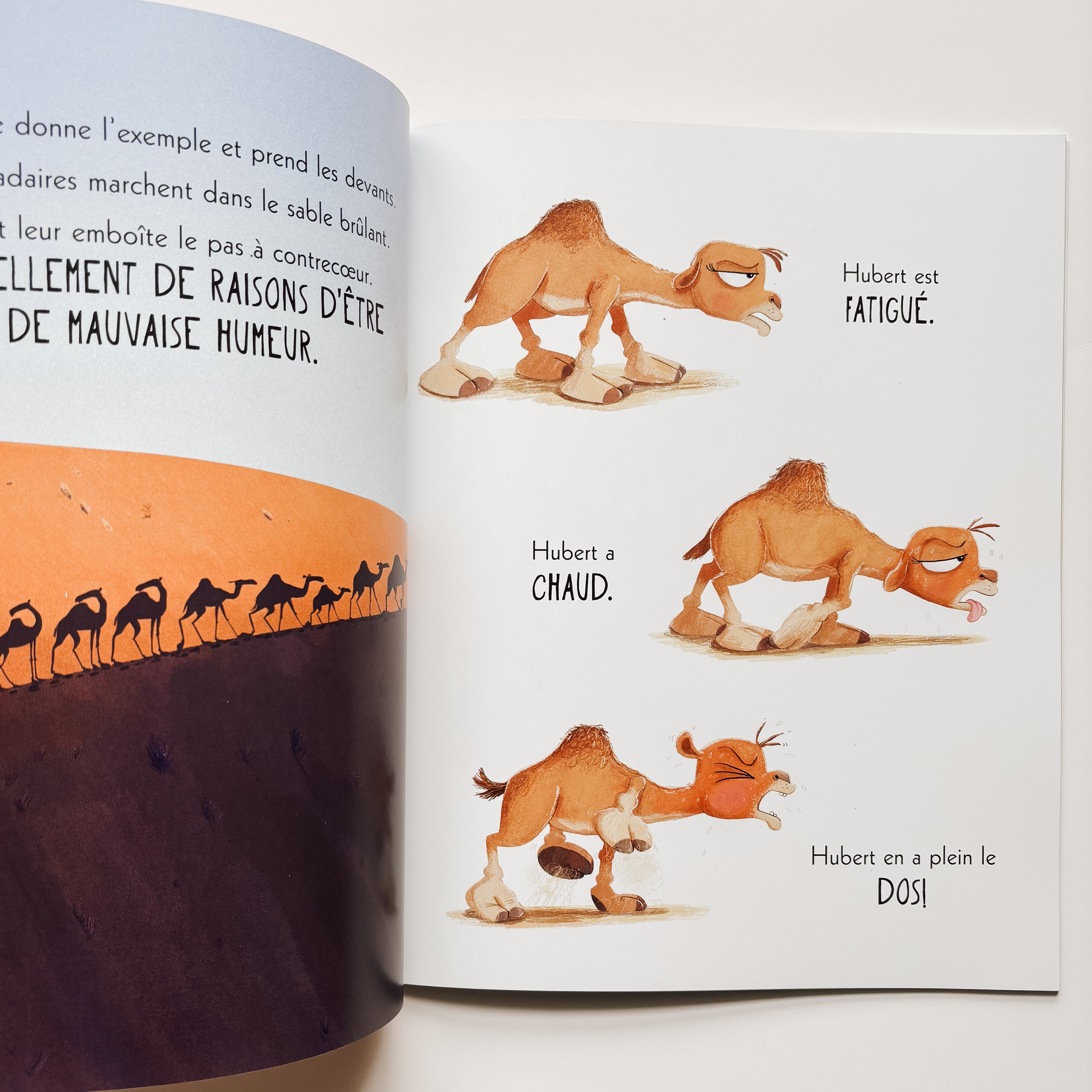 Livre d'histoire - Le dromadaire qui en a plein le dos