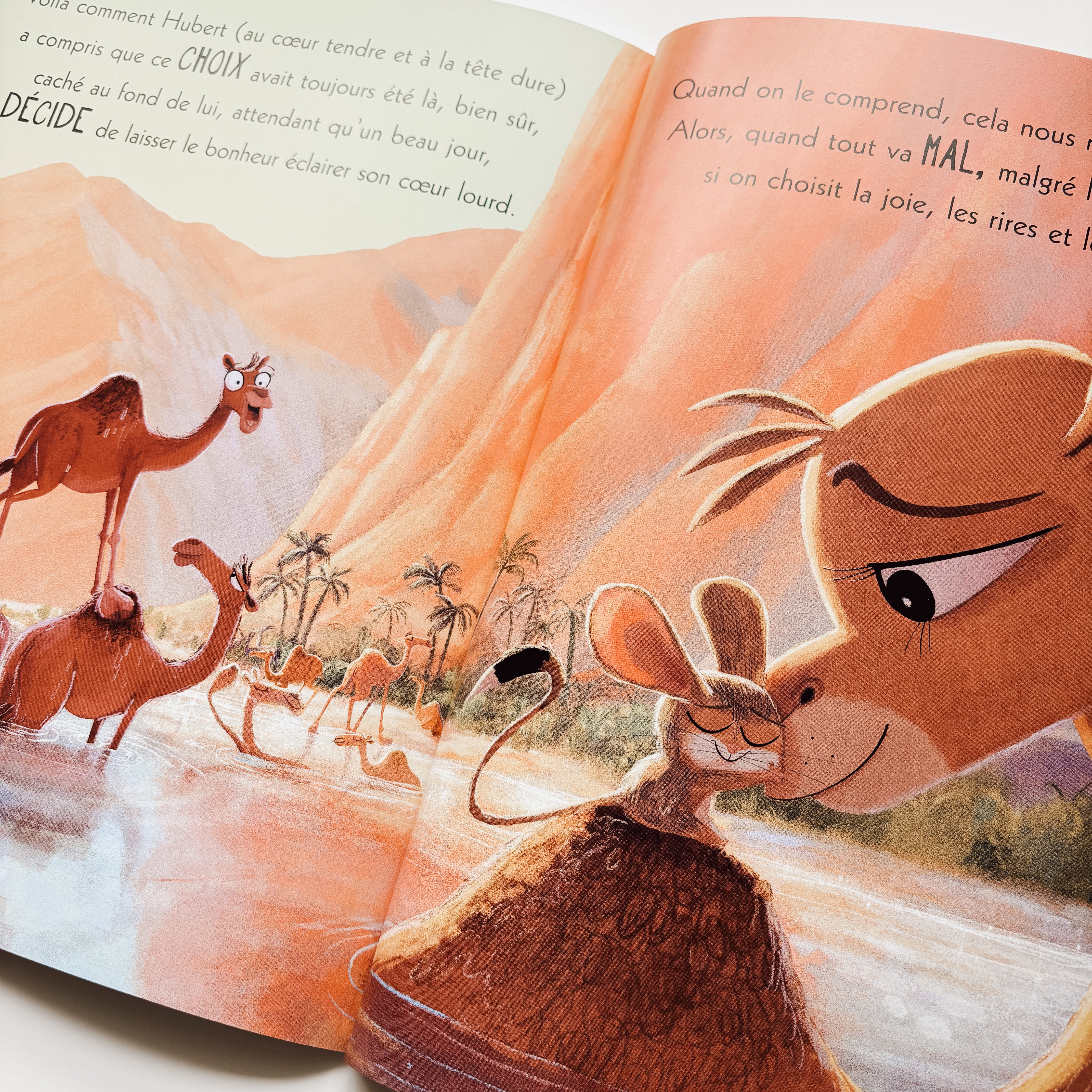 Livre d'histoire - Le dromadaire qui en a plein le dos