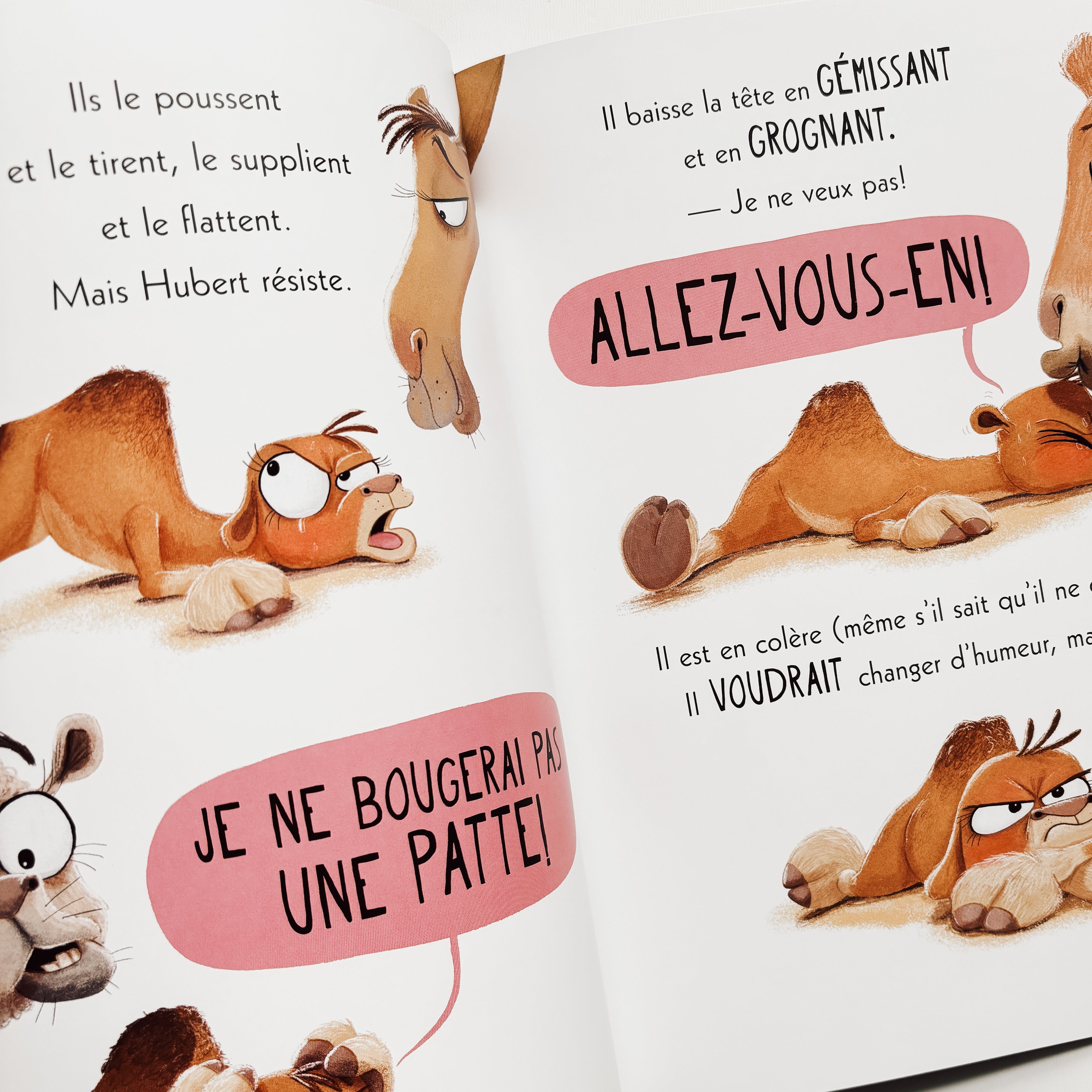 Livre d'histoire - Le dromadaire qui en a plein le dos