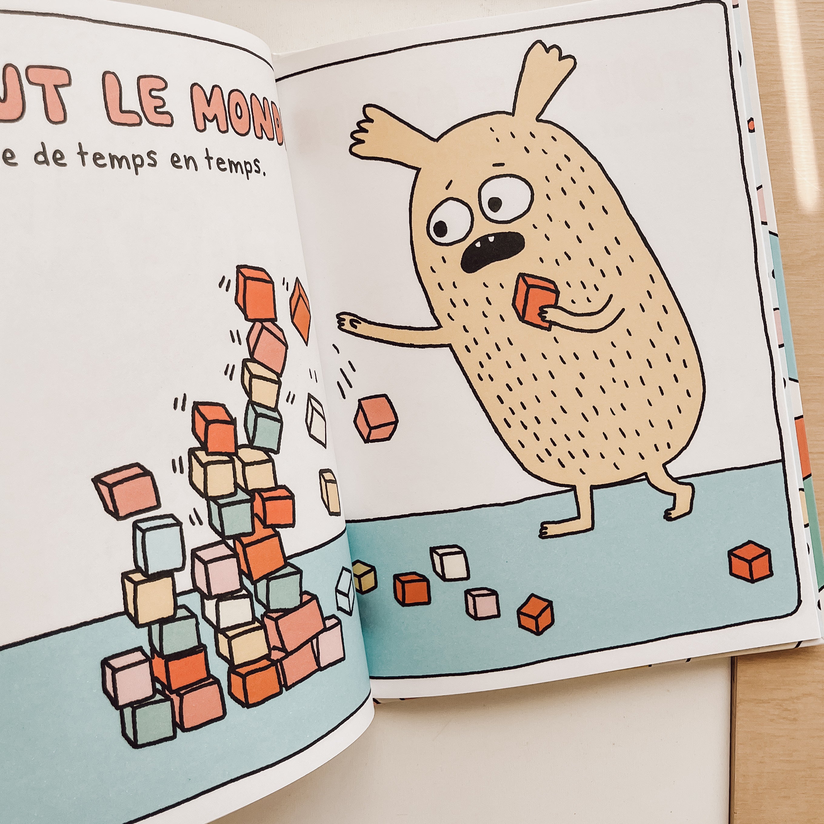 Livre d'histoire - Tout le monde