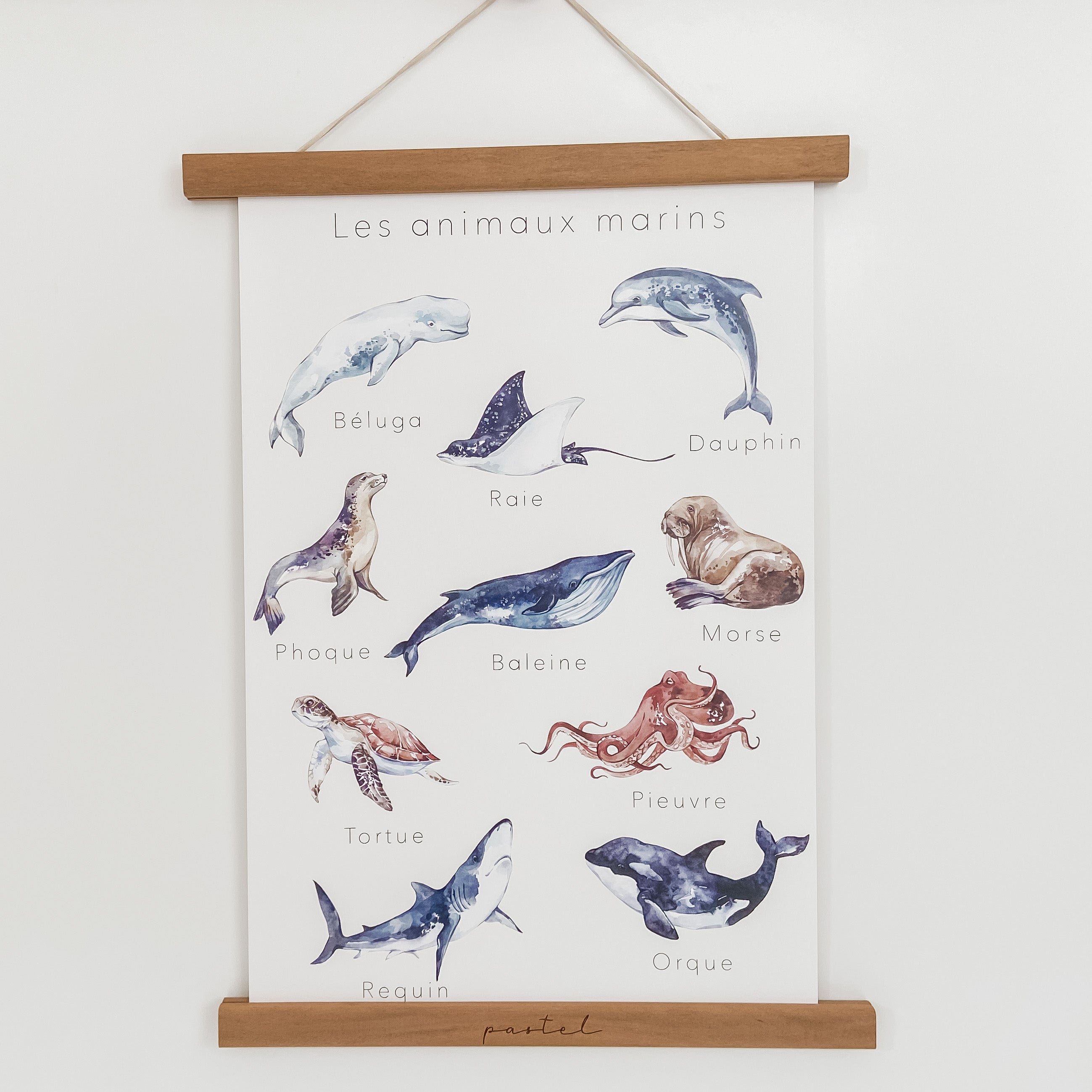 Affiche éducative & décorative "Les animaux marins"