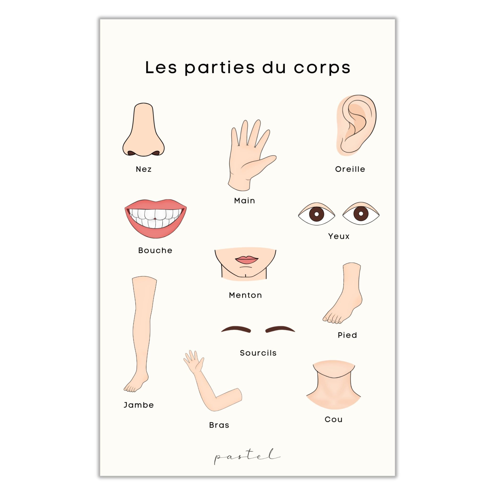 Affiche éducative & décorative "Parties du corps"