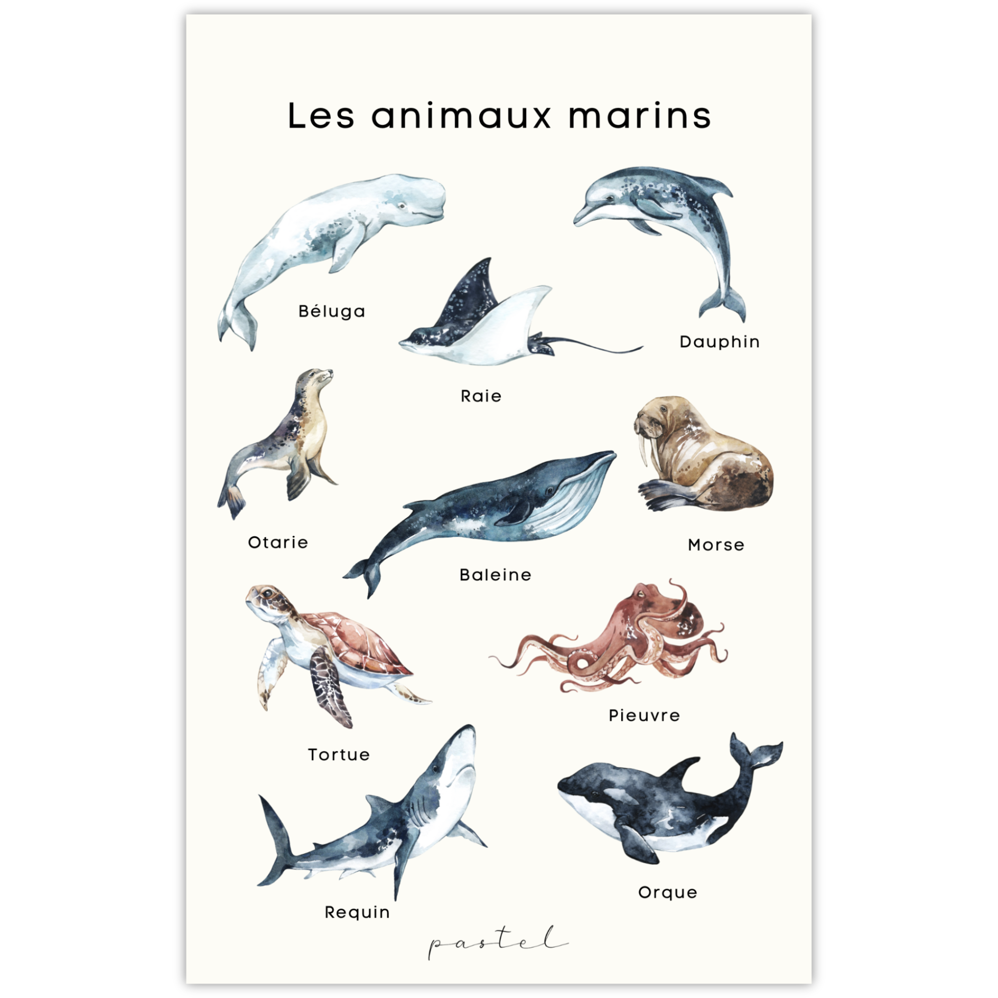 Affiche éducative & décorative "Les animaux marins"
