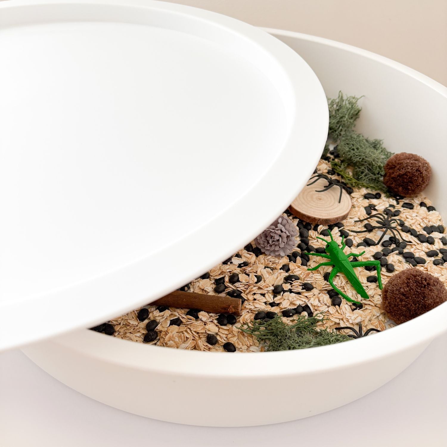 Bac sensoriel compartimenté avec couvercle