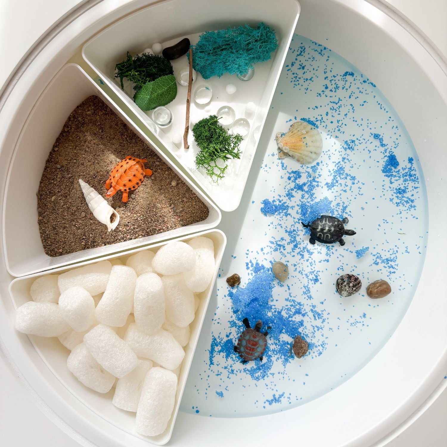 Bac sensoriel compartimenté avec couvercle