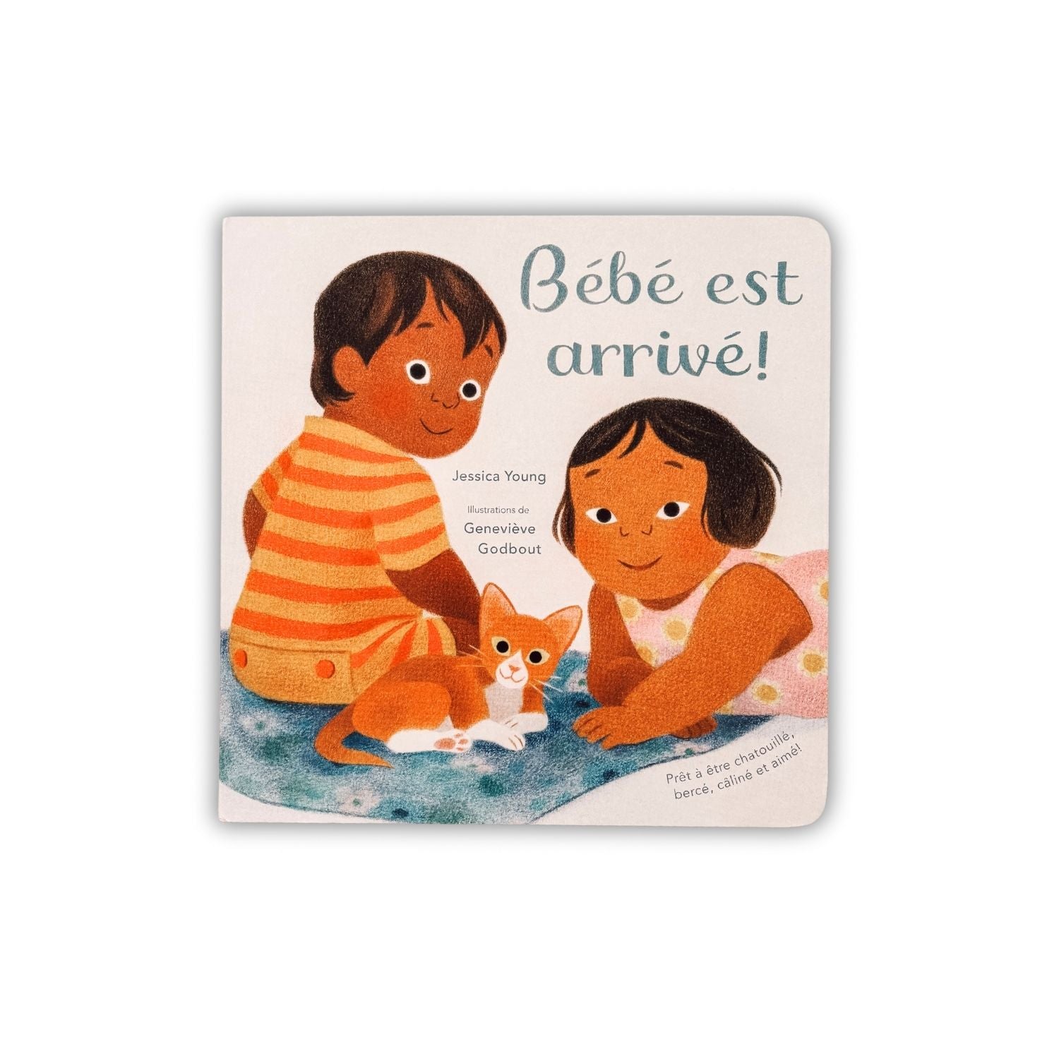 Livre d'histoire - Bébé est arrivé!