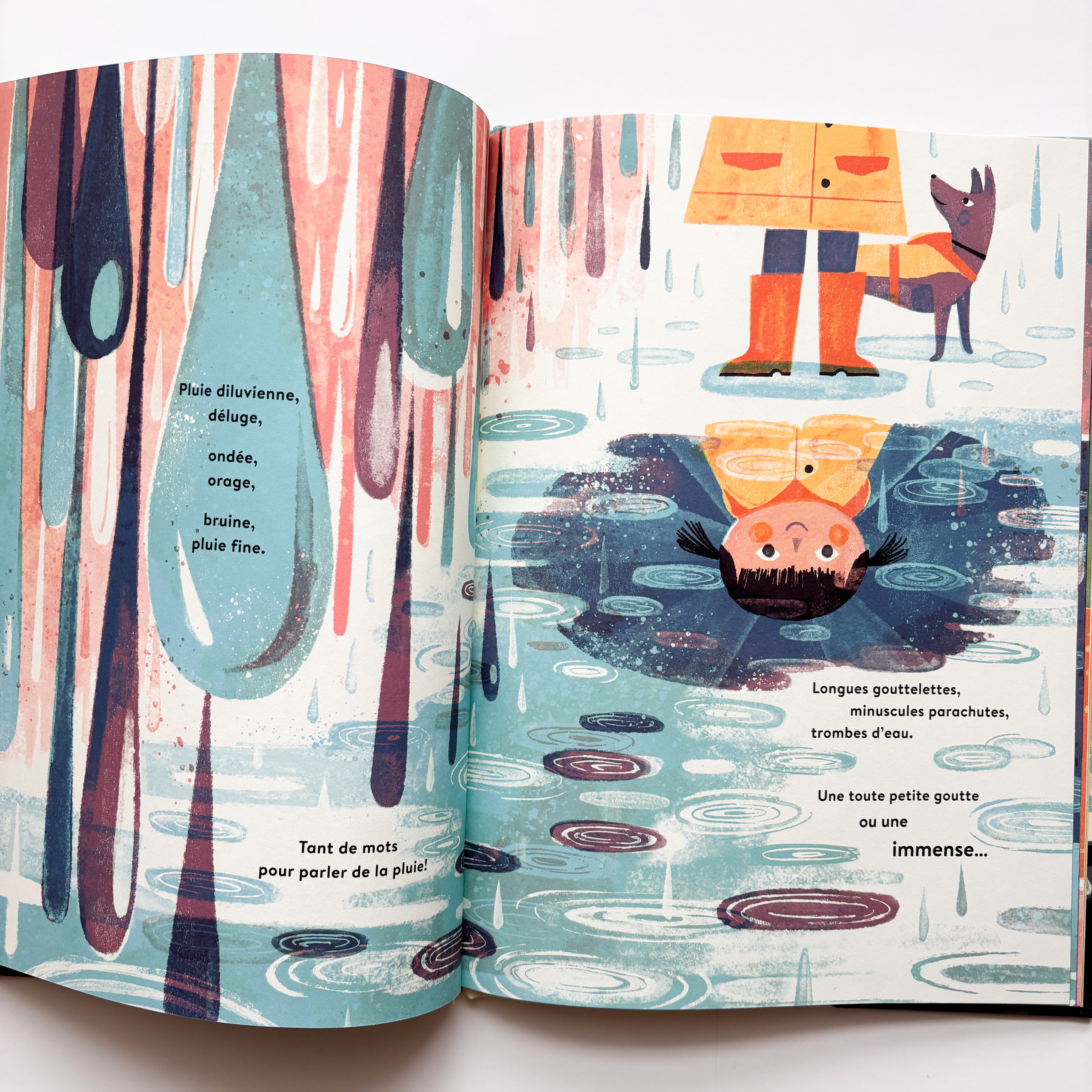 Livre d'histoire - Bonjour, la pluie