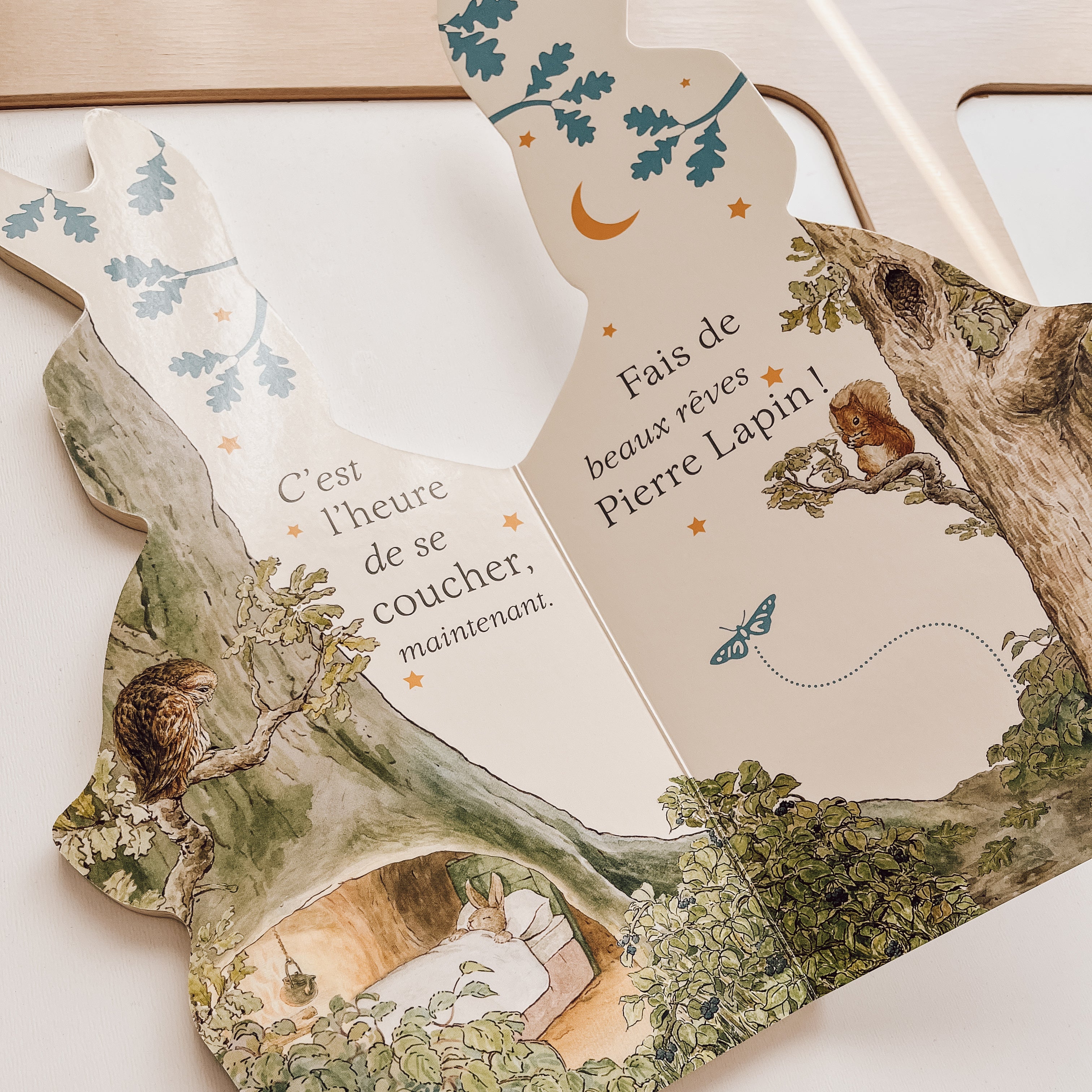 Livre d'histoire - Bonjour Pierre Lapin