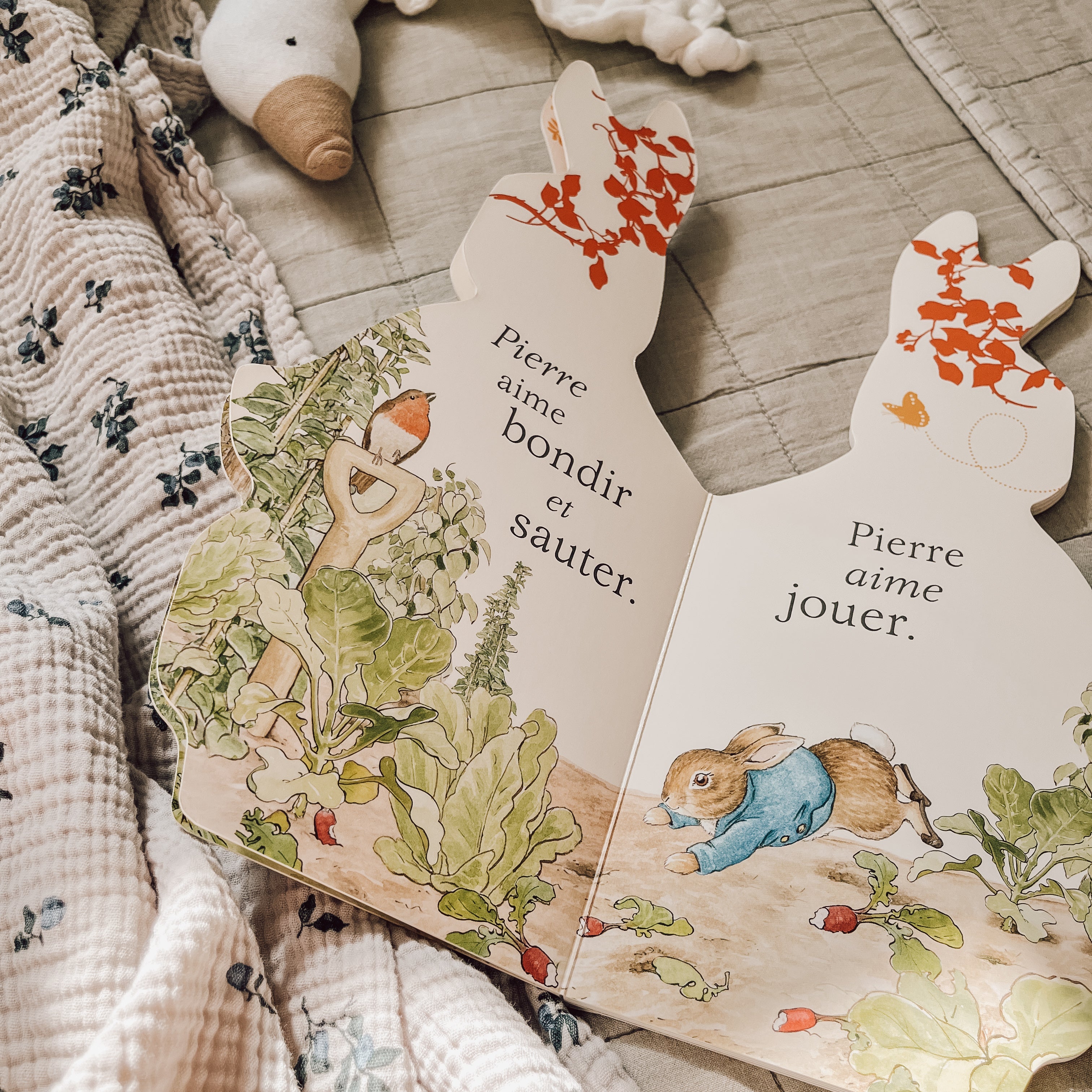 Livre d'histoire - Bonjour Pierre Lapin