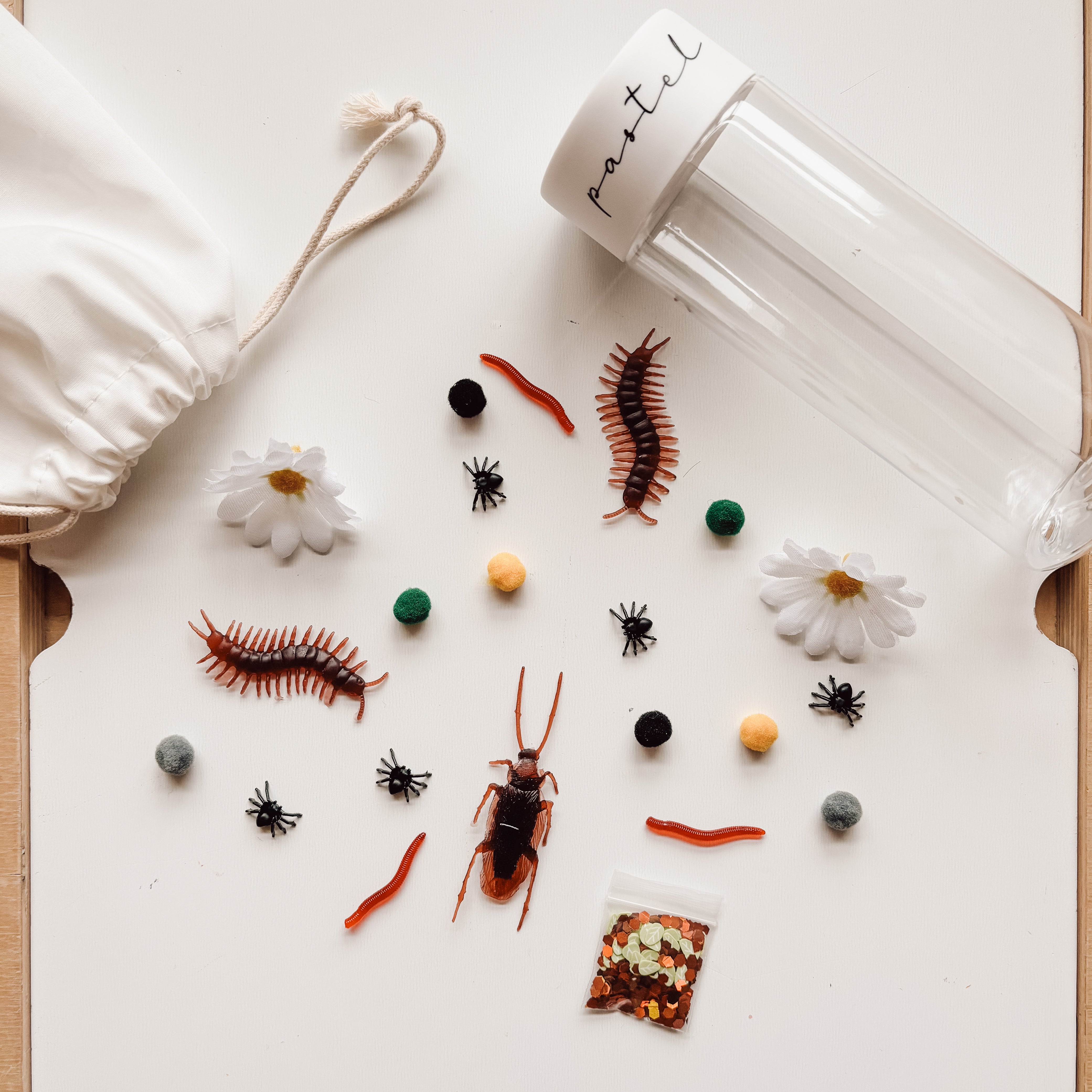 Bouteille sensorielle - Bibittes