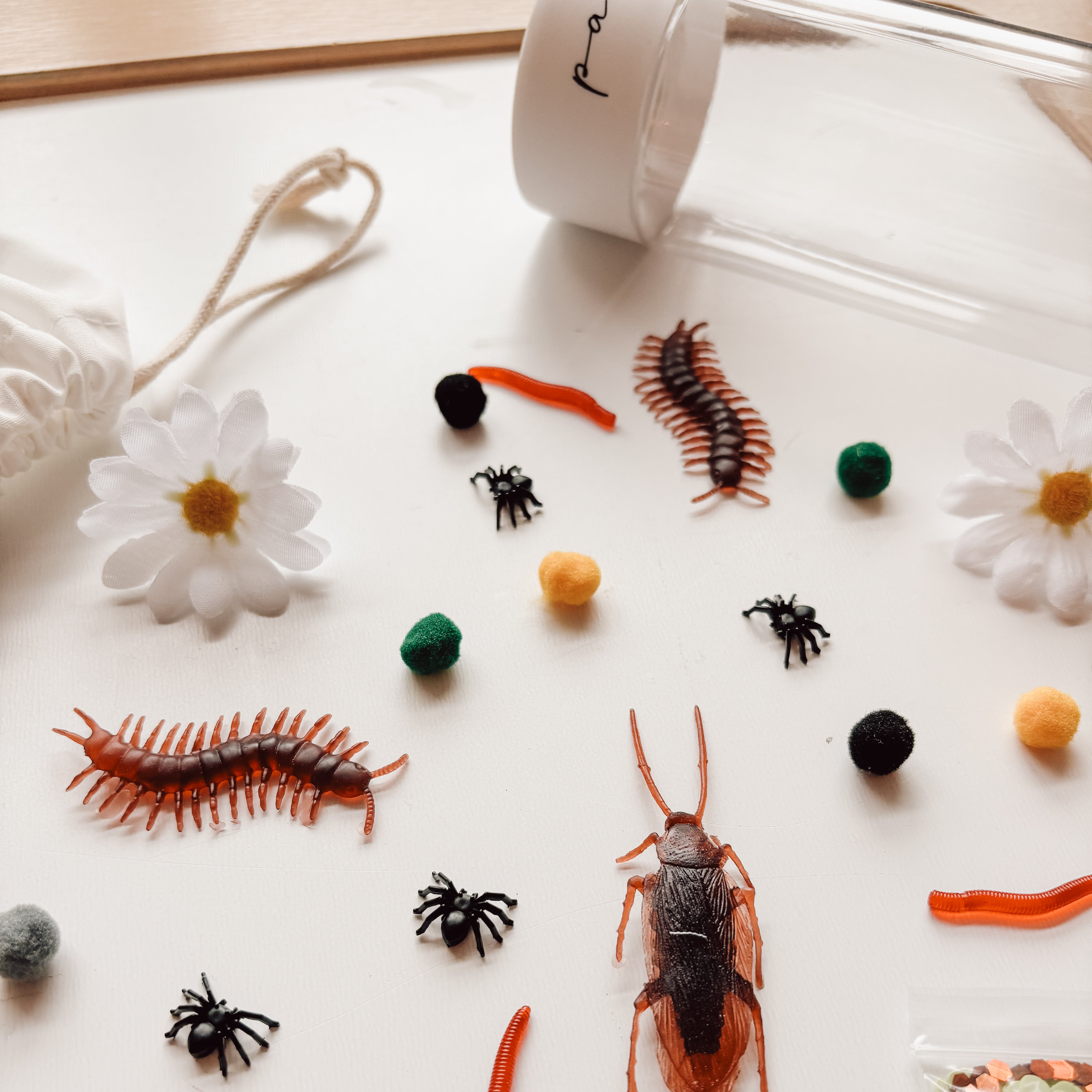 Bouteille sensorielle - Bibittes