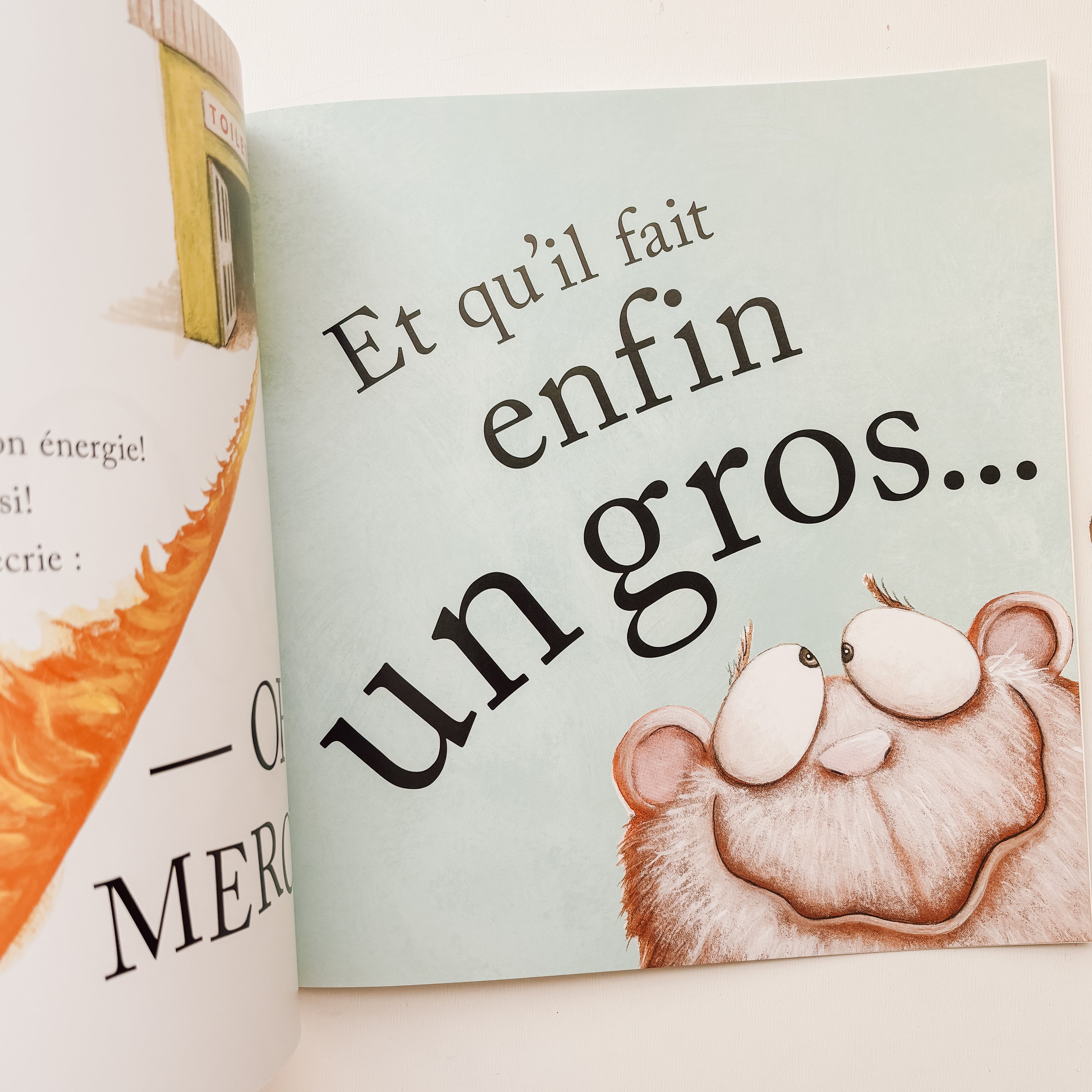 Livre d'histoire - Ça presse !