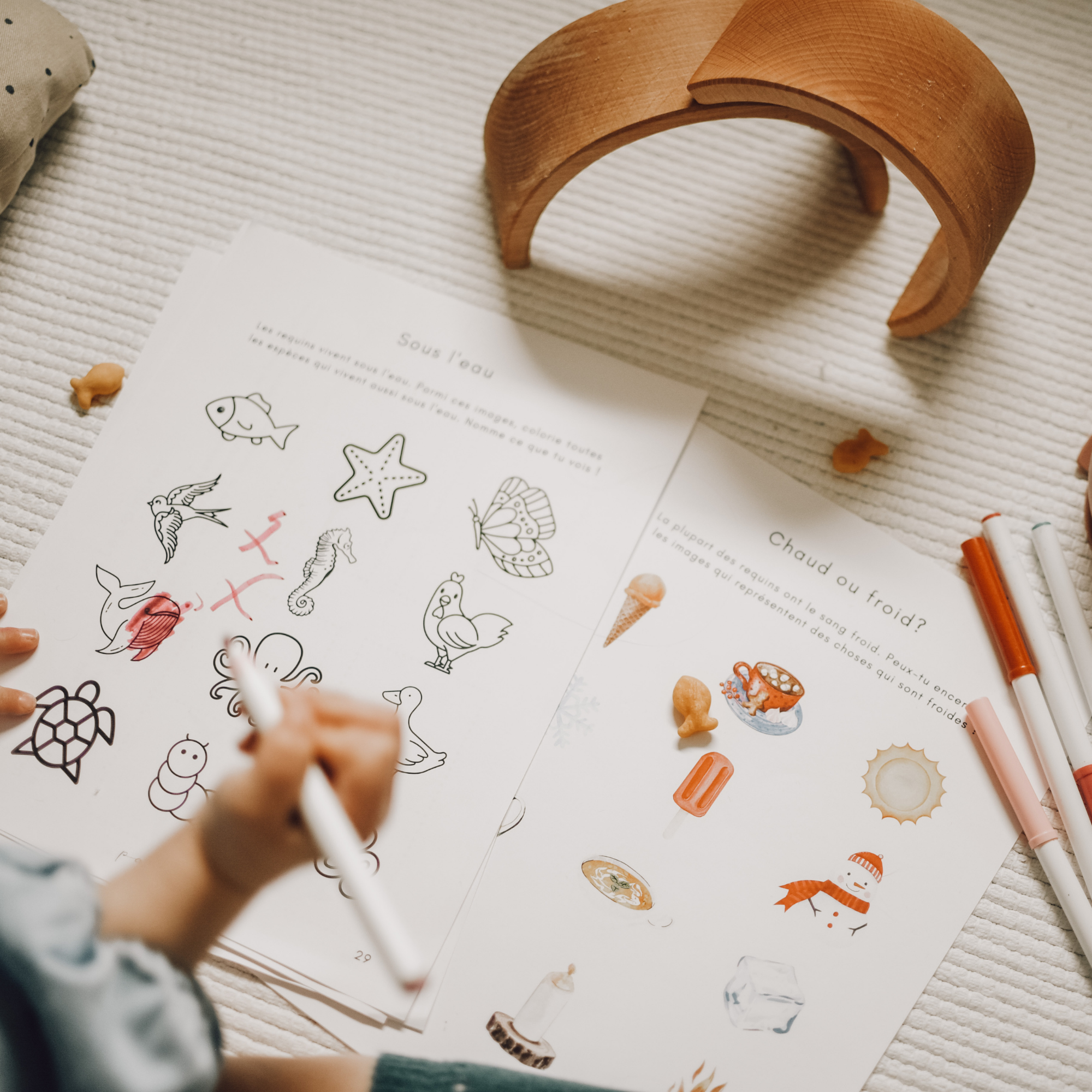 Cahier d'activités à télécharger - Requins