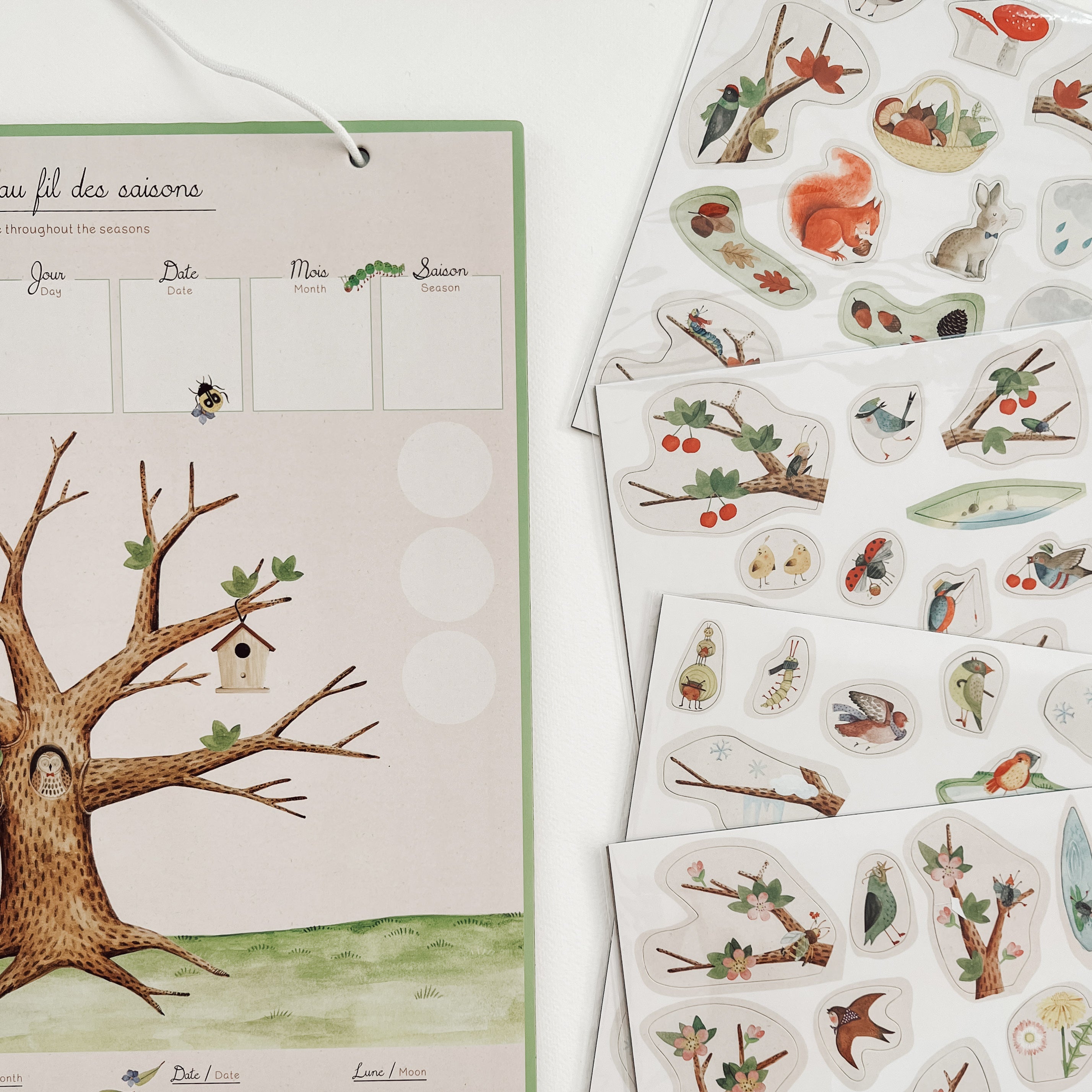 Calendrier aimanté - Le Botaniste