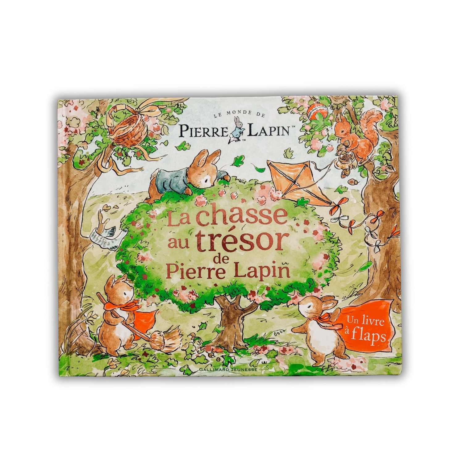 Livre d'histoire - Chasse au trésor de Pierre Lapin