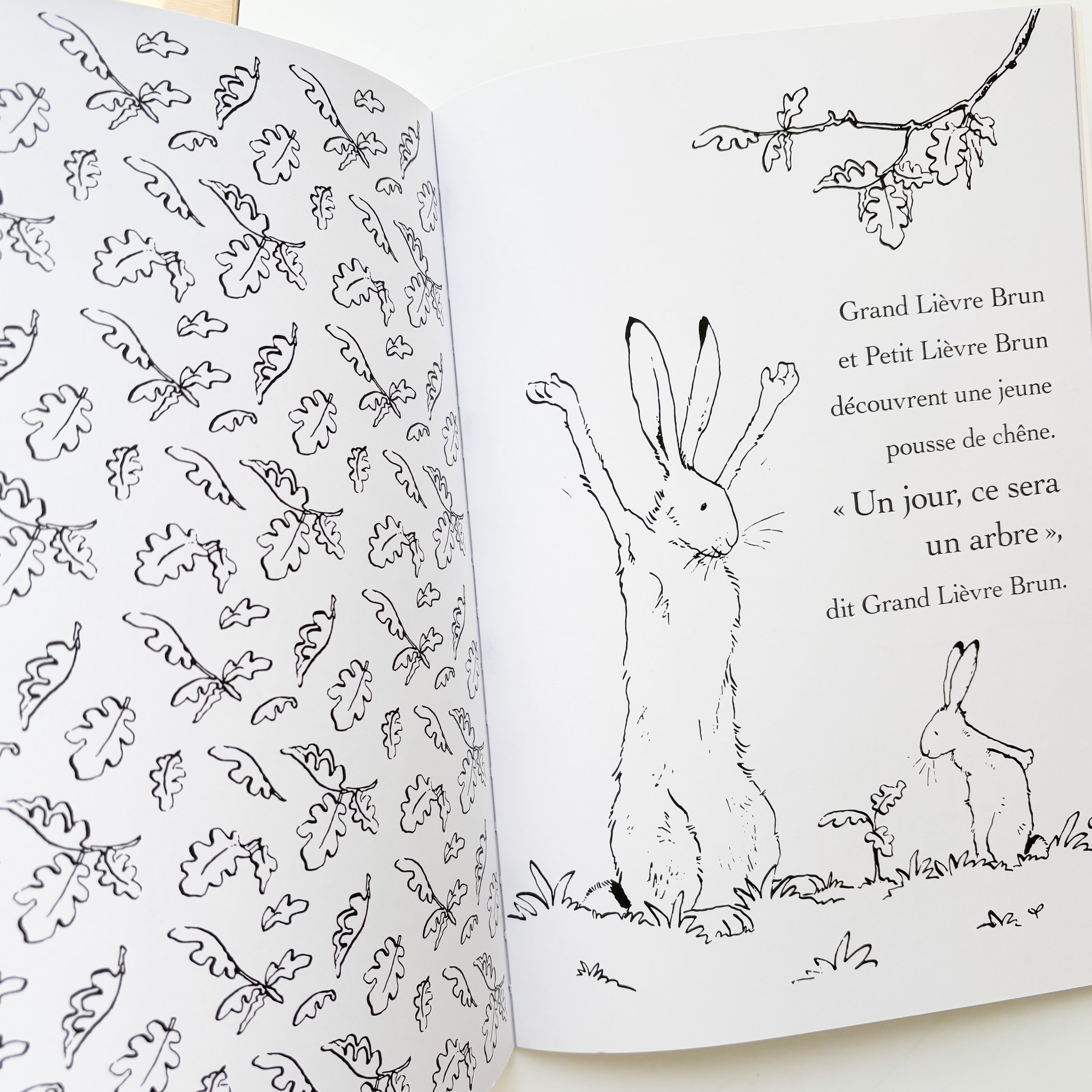 Livre à colorier - Devine combien je t'aime