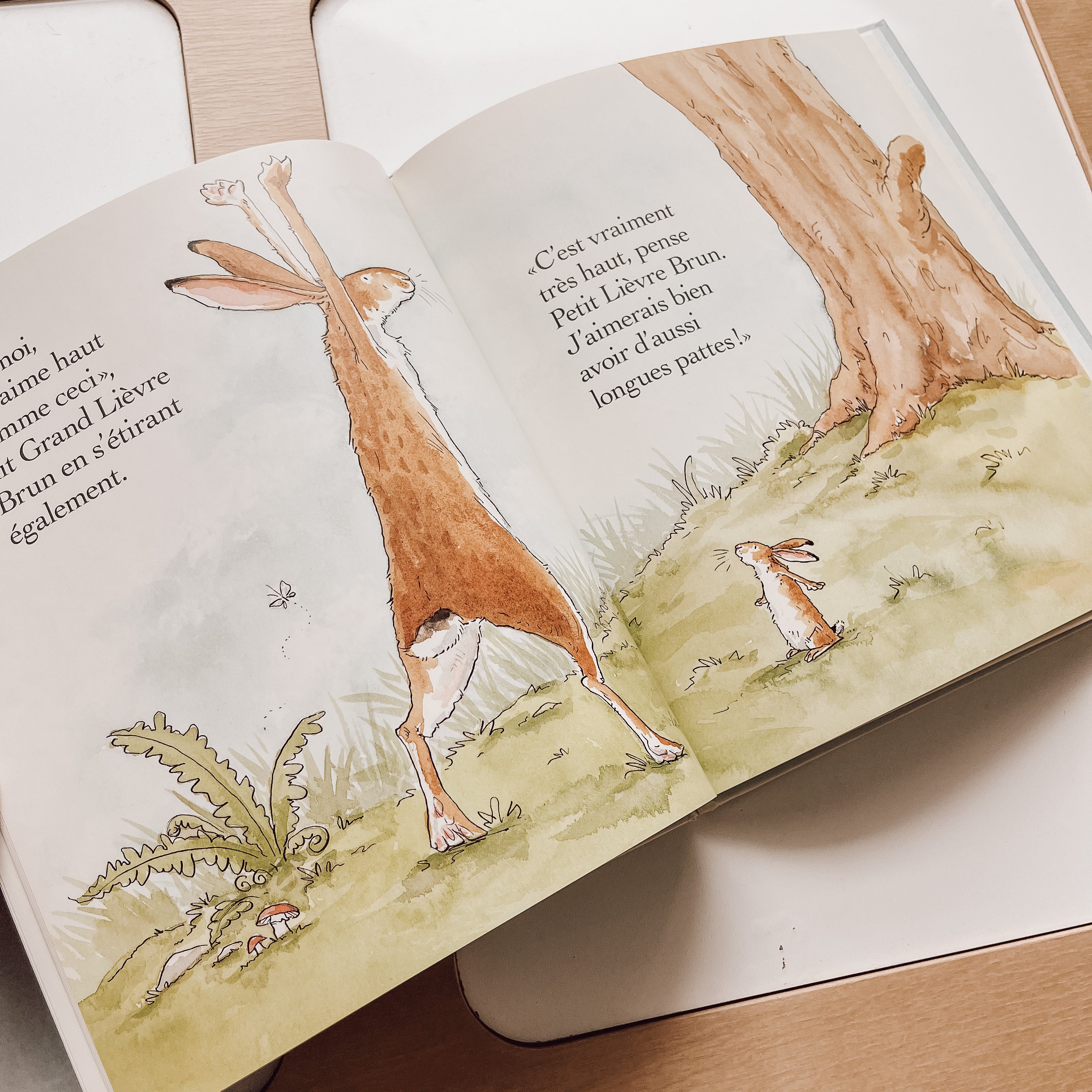 Livre d'histoire - Devine combien je t'aime