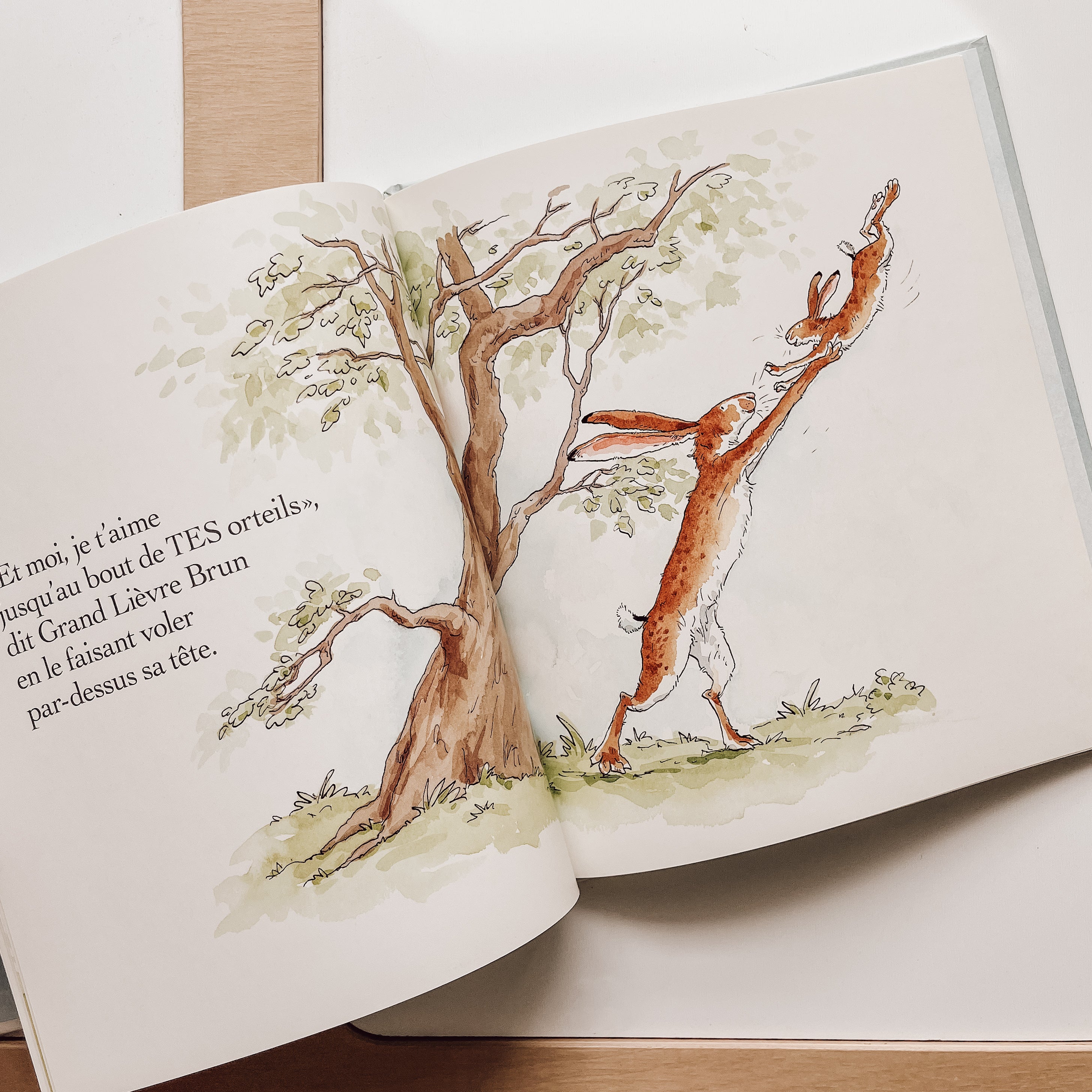 Livre d'histoire - Devine combien je t'aime