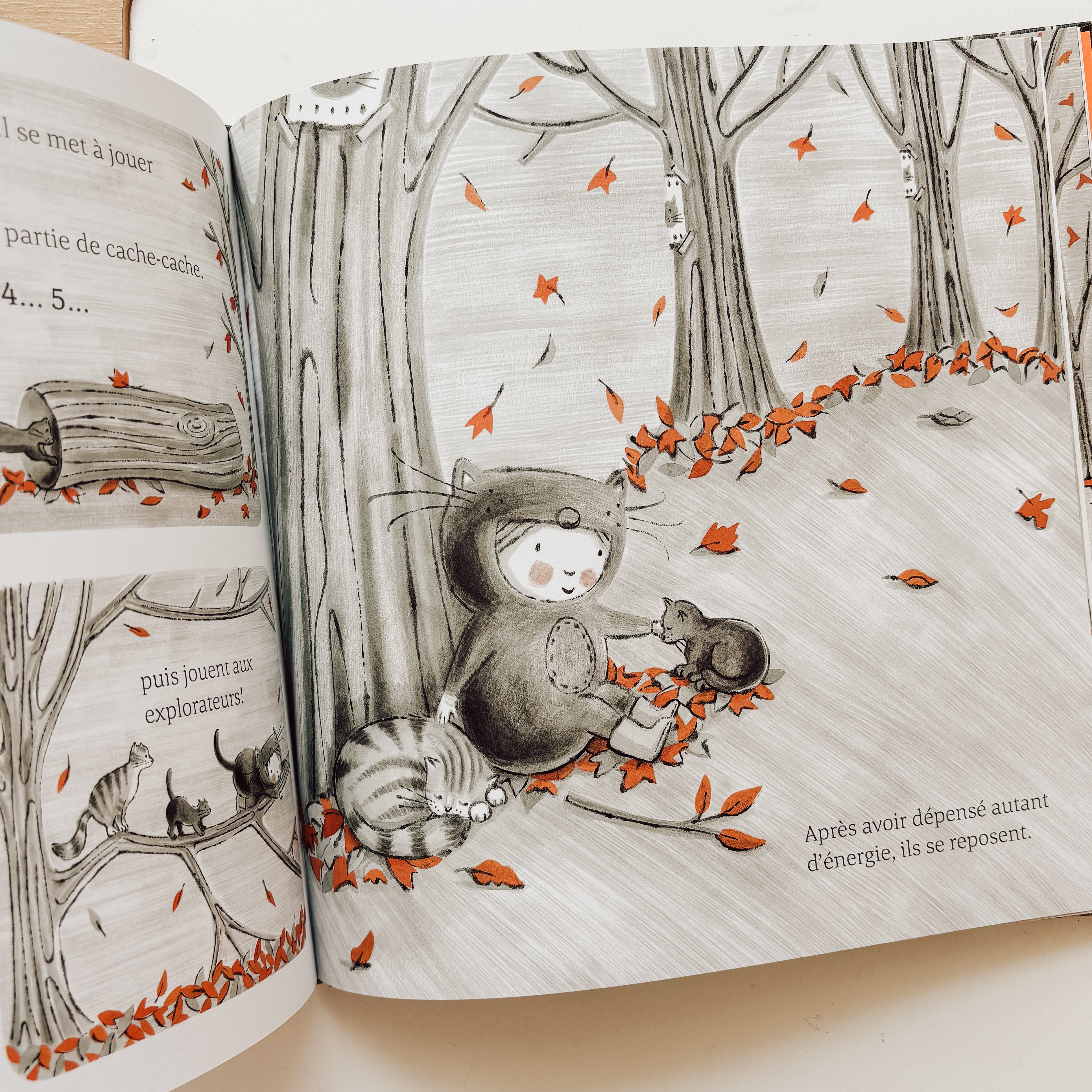 Livre d'histoire - Le petit chat perdu