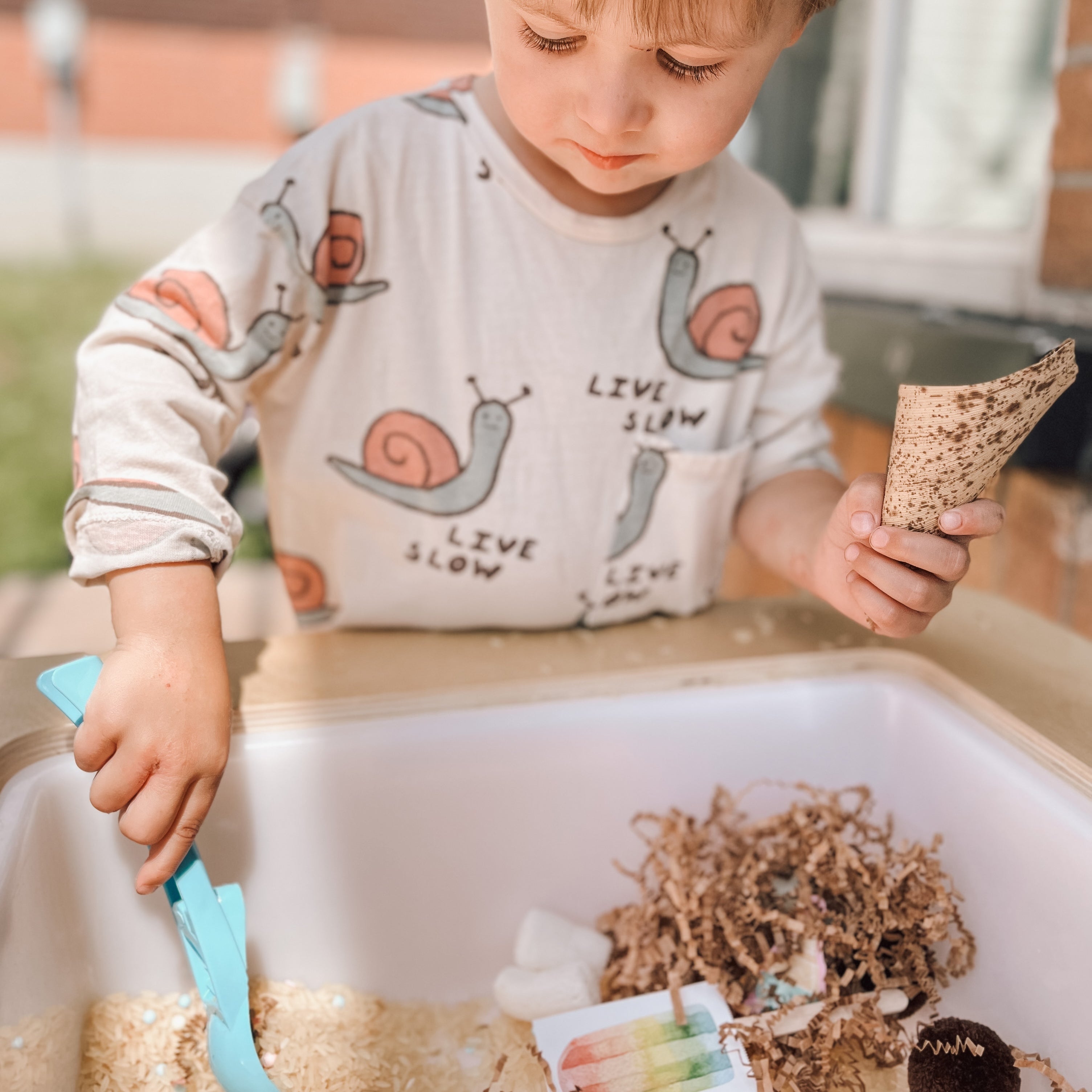 Ensemble sensoriel - Crème Glacée