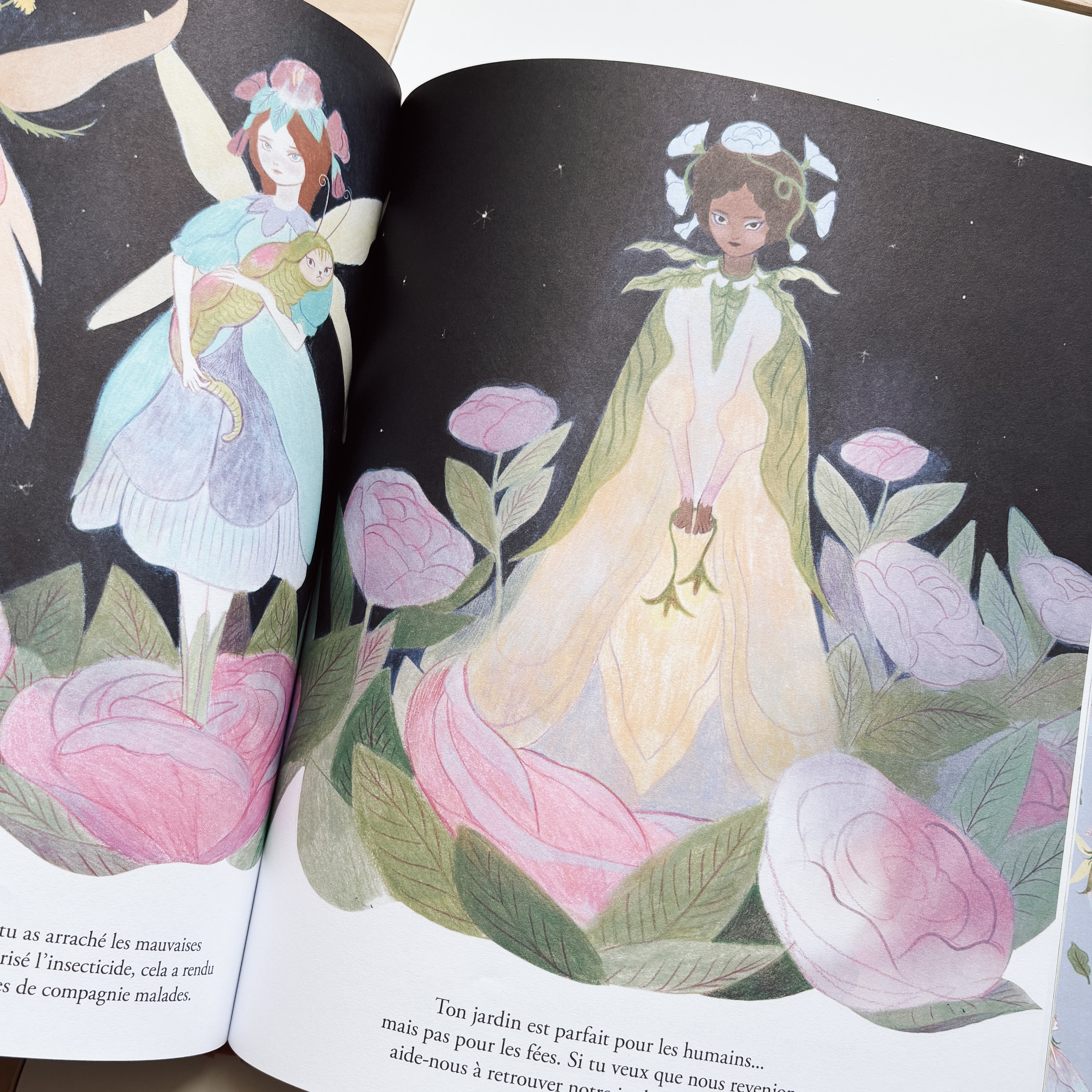 Livre d'histoire - Les fées de mon jardin