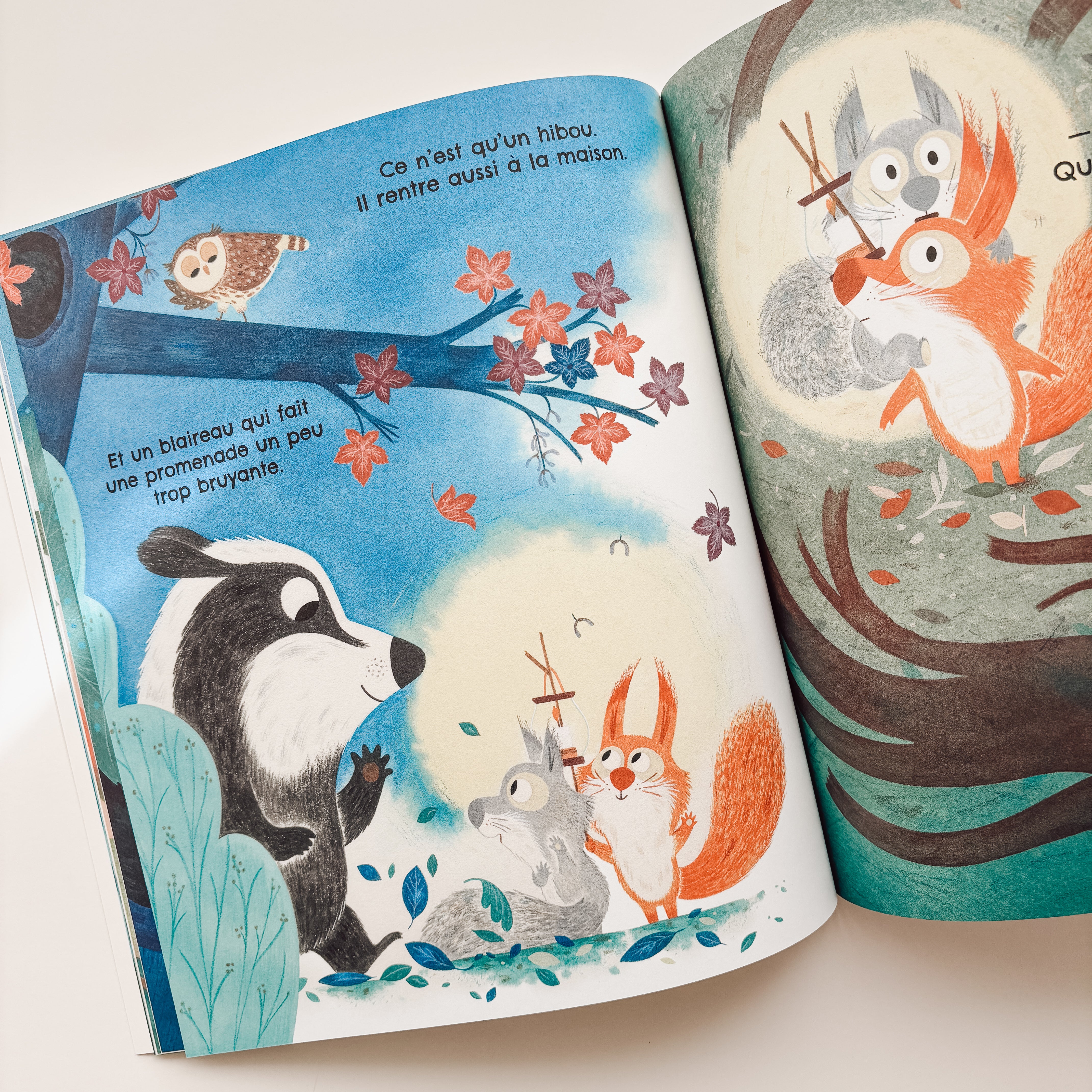 Livre d'histoire - J'ai vraiment peur du noir