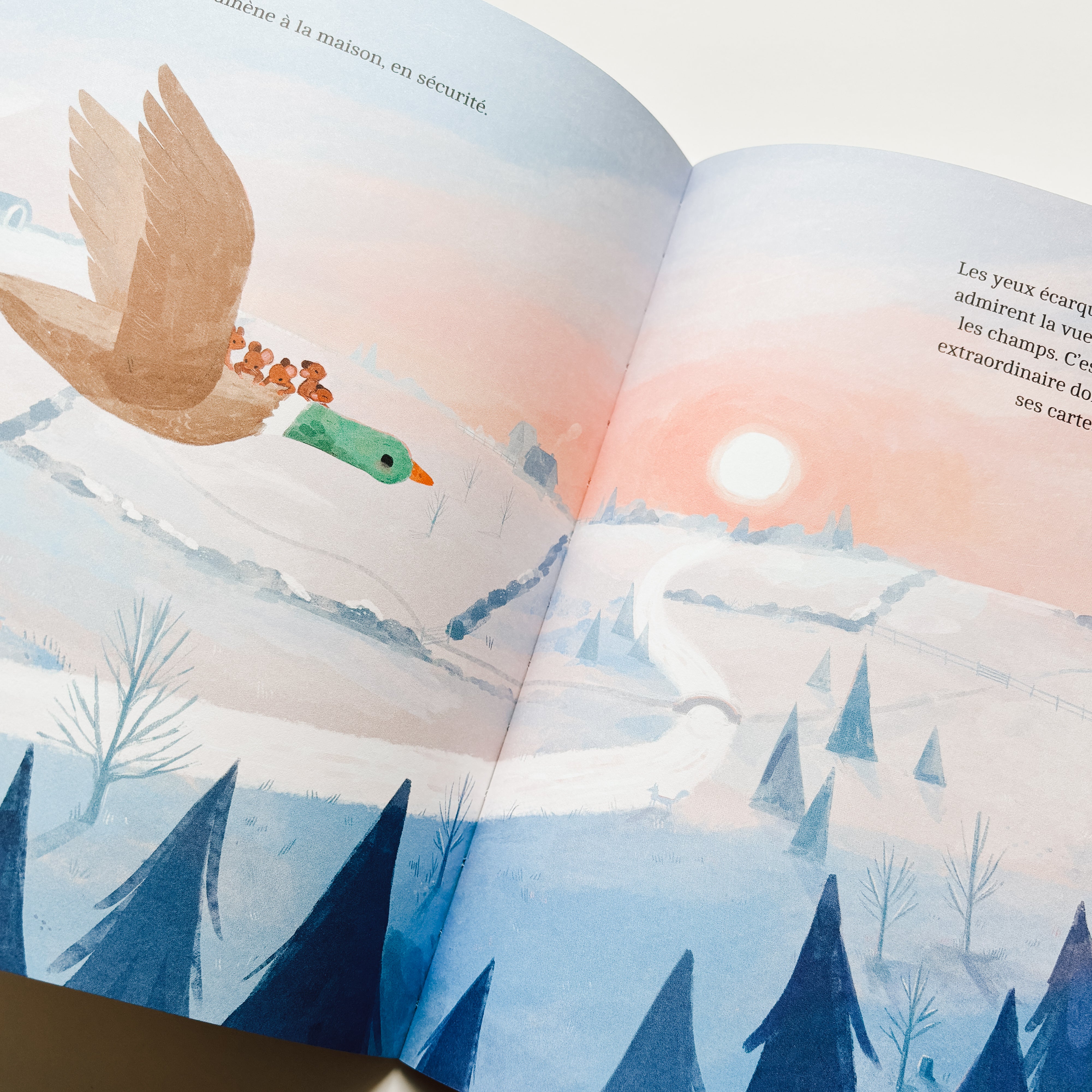 Livre d'histoire - Je veux tout décrouvrir