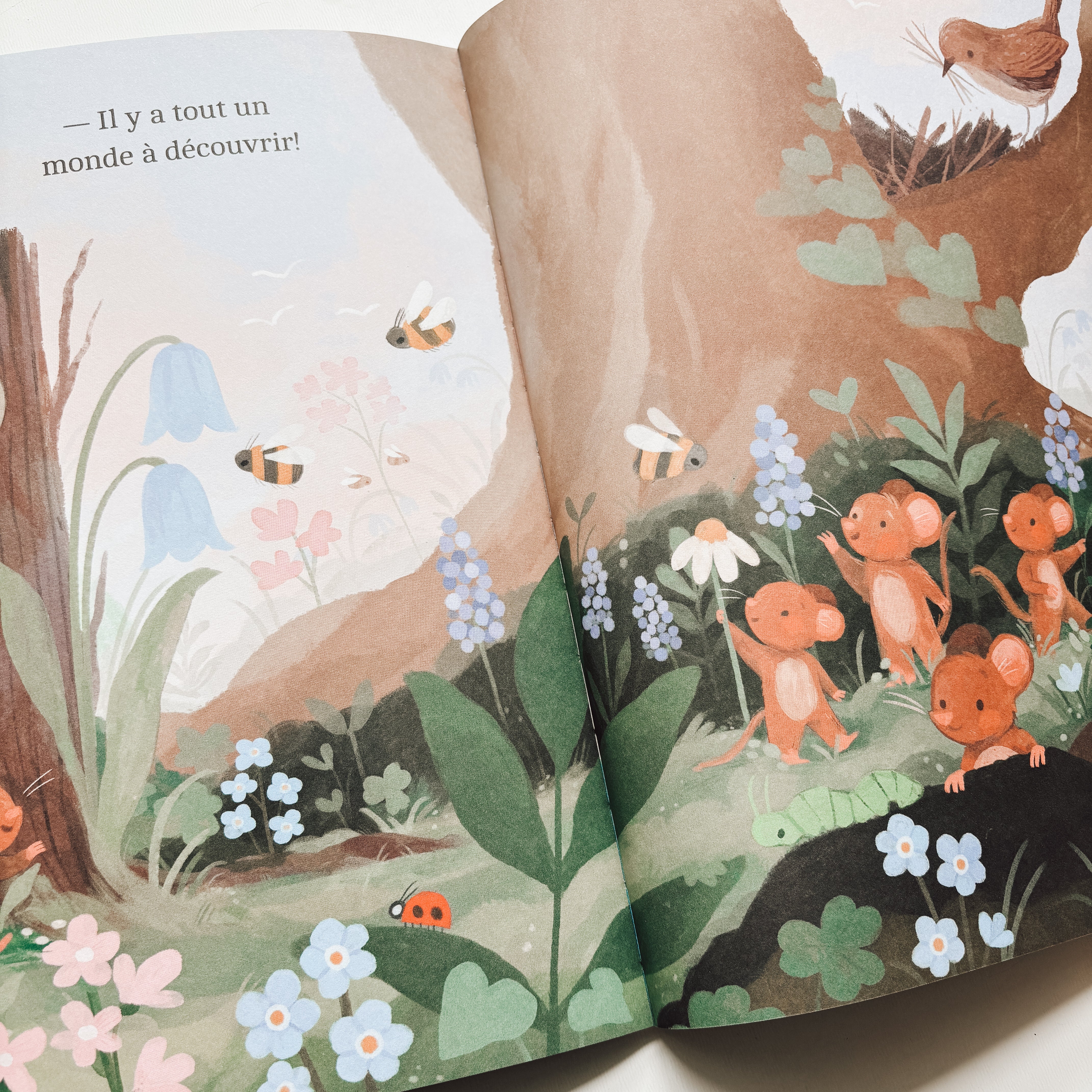 Livre d'histoire - Je veux tout décrouvrir