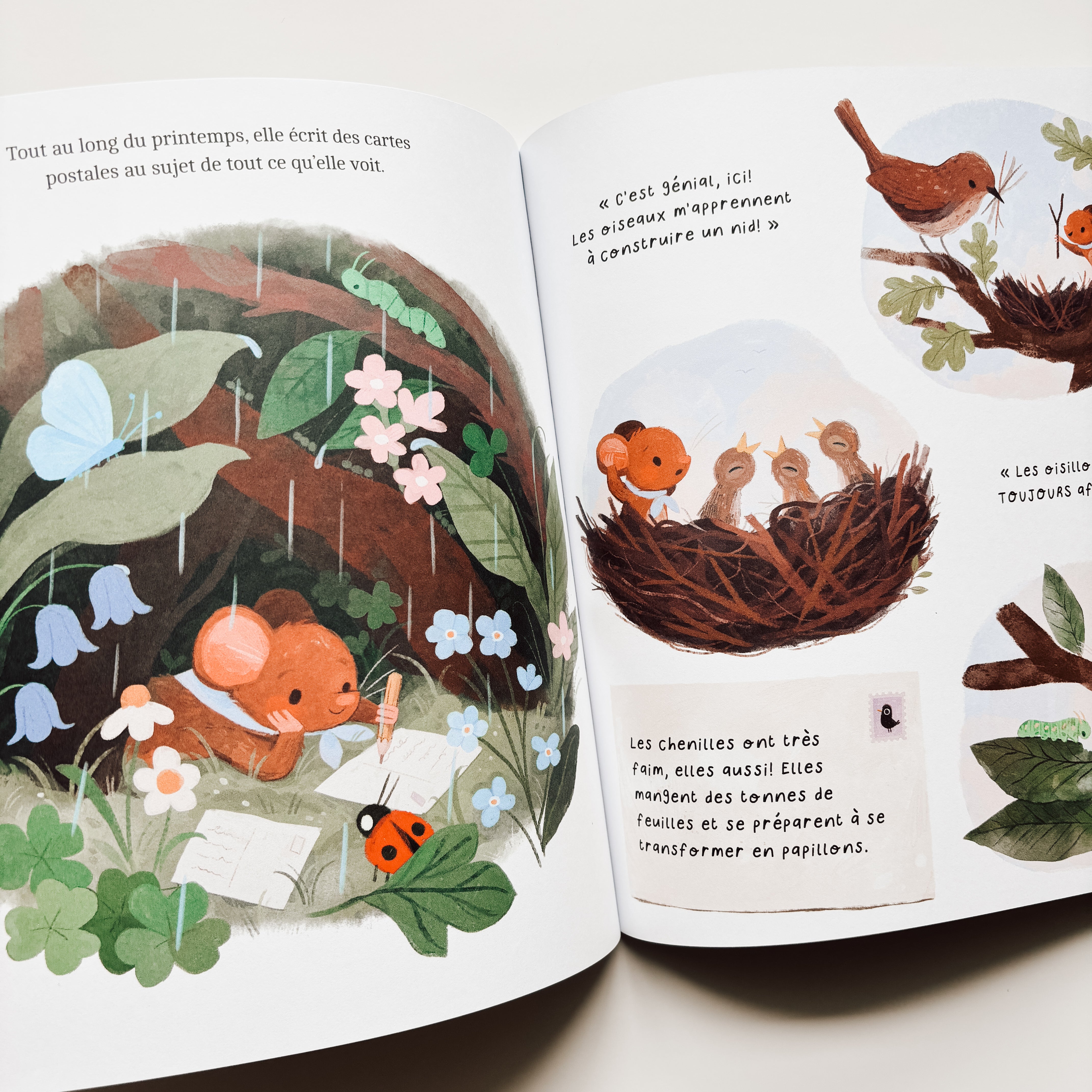 Livre d'histoire - Je veux tout décrouvrir