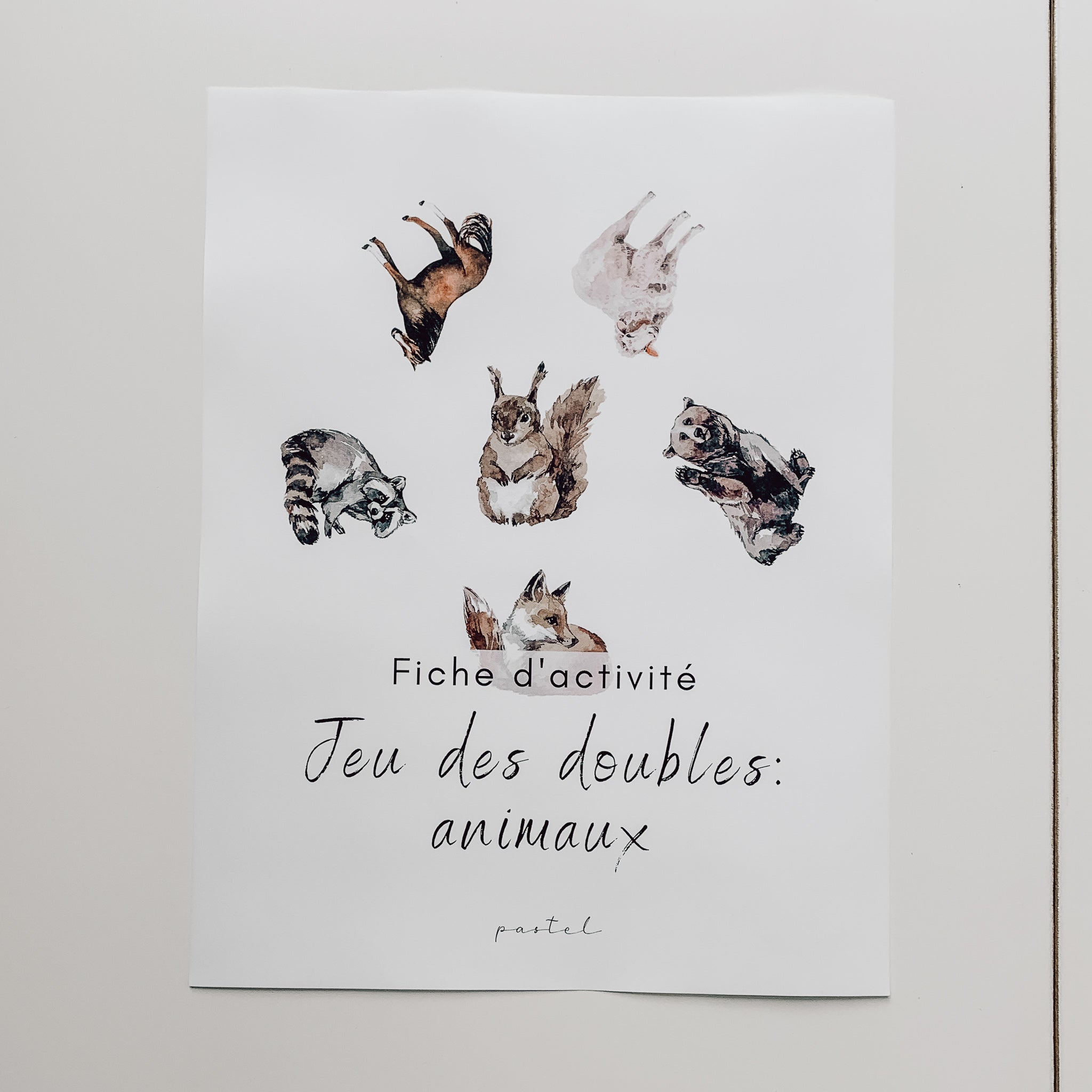 Activité à télécharger - Jeu des doubles (animaux)
