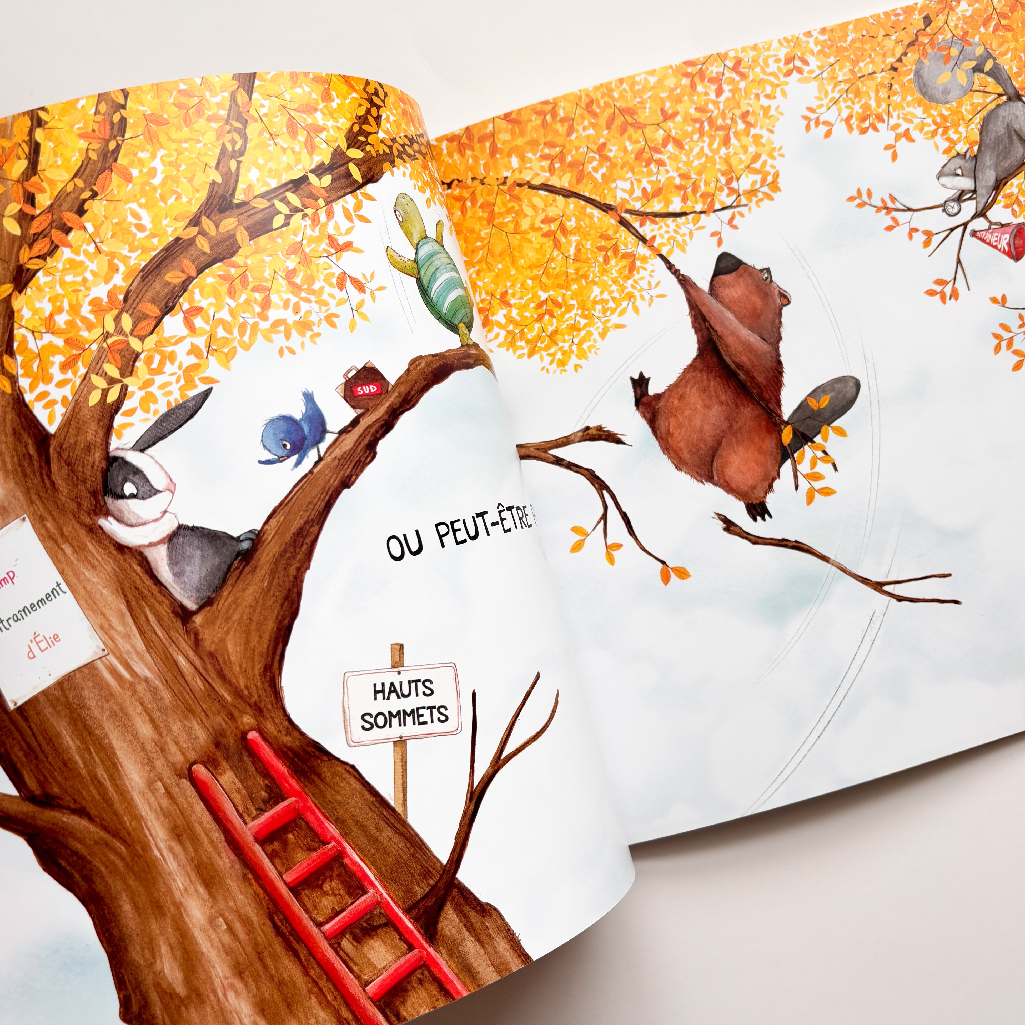 Livre d'histoire - L'or à tout prix