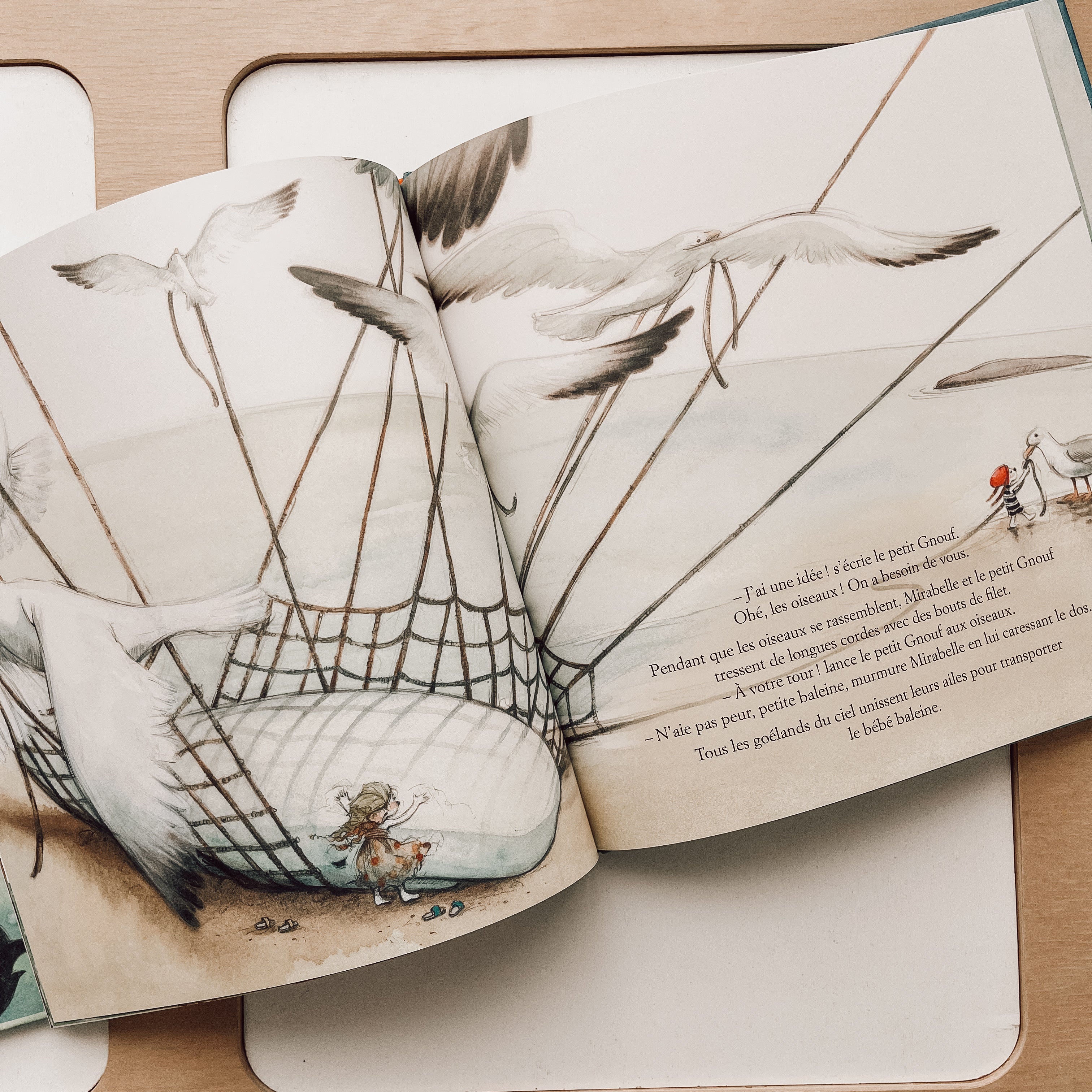 Livre d'histoire - L’été de la petite Baleine