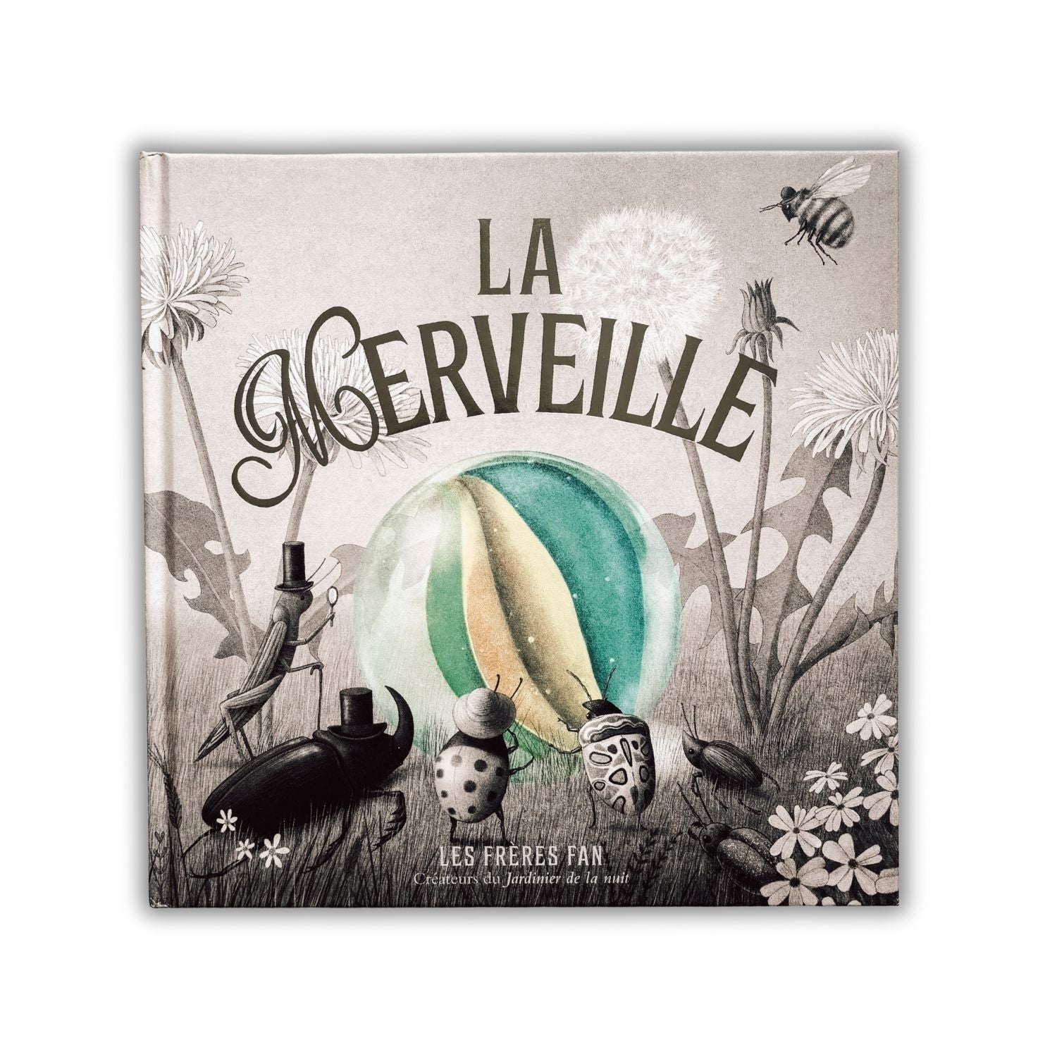 Livre d'histoire - La merveille