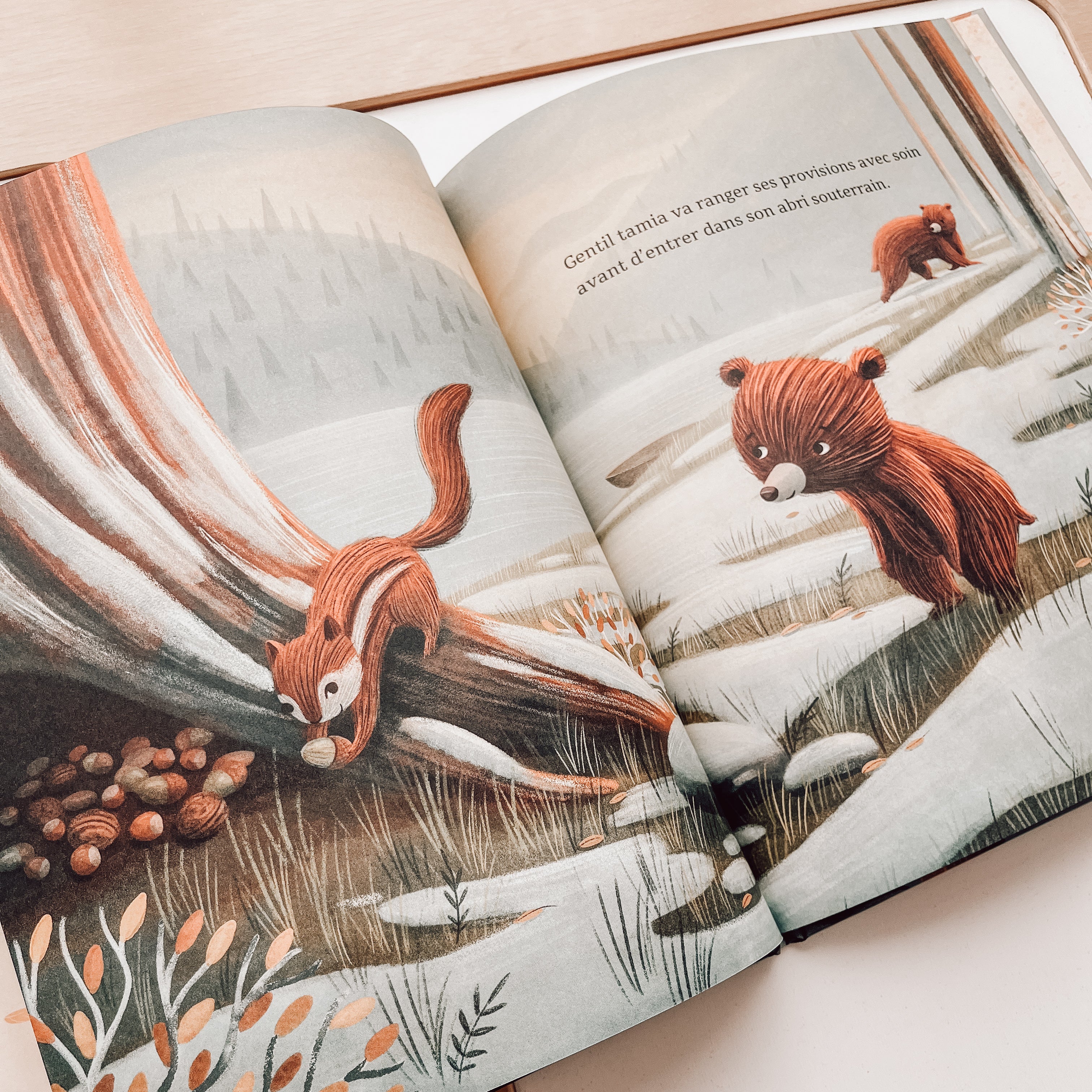 Livre d'histoire - La berceuse de l'hiver