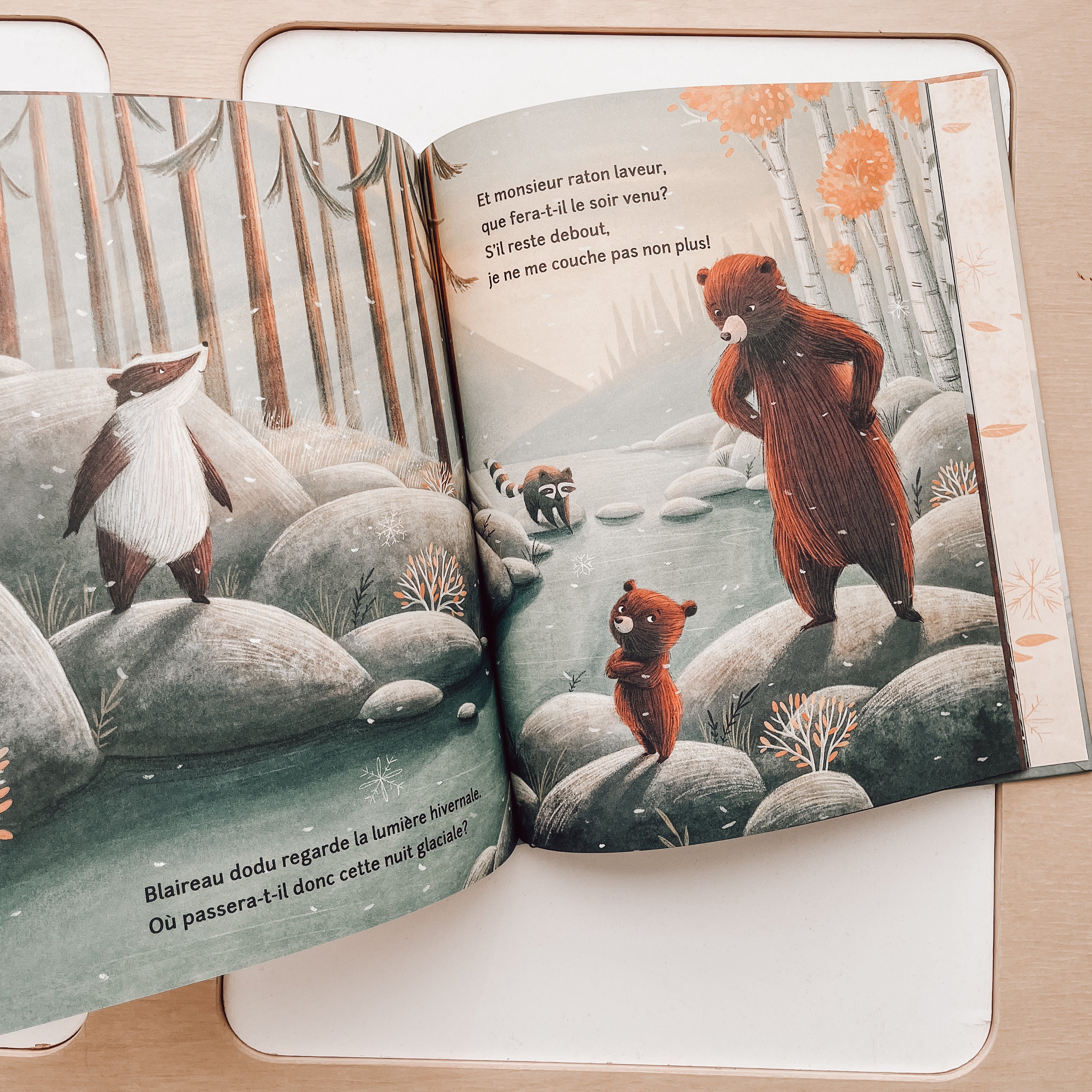 Livre d'histoire - La berceuse de l'hiver