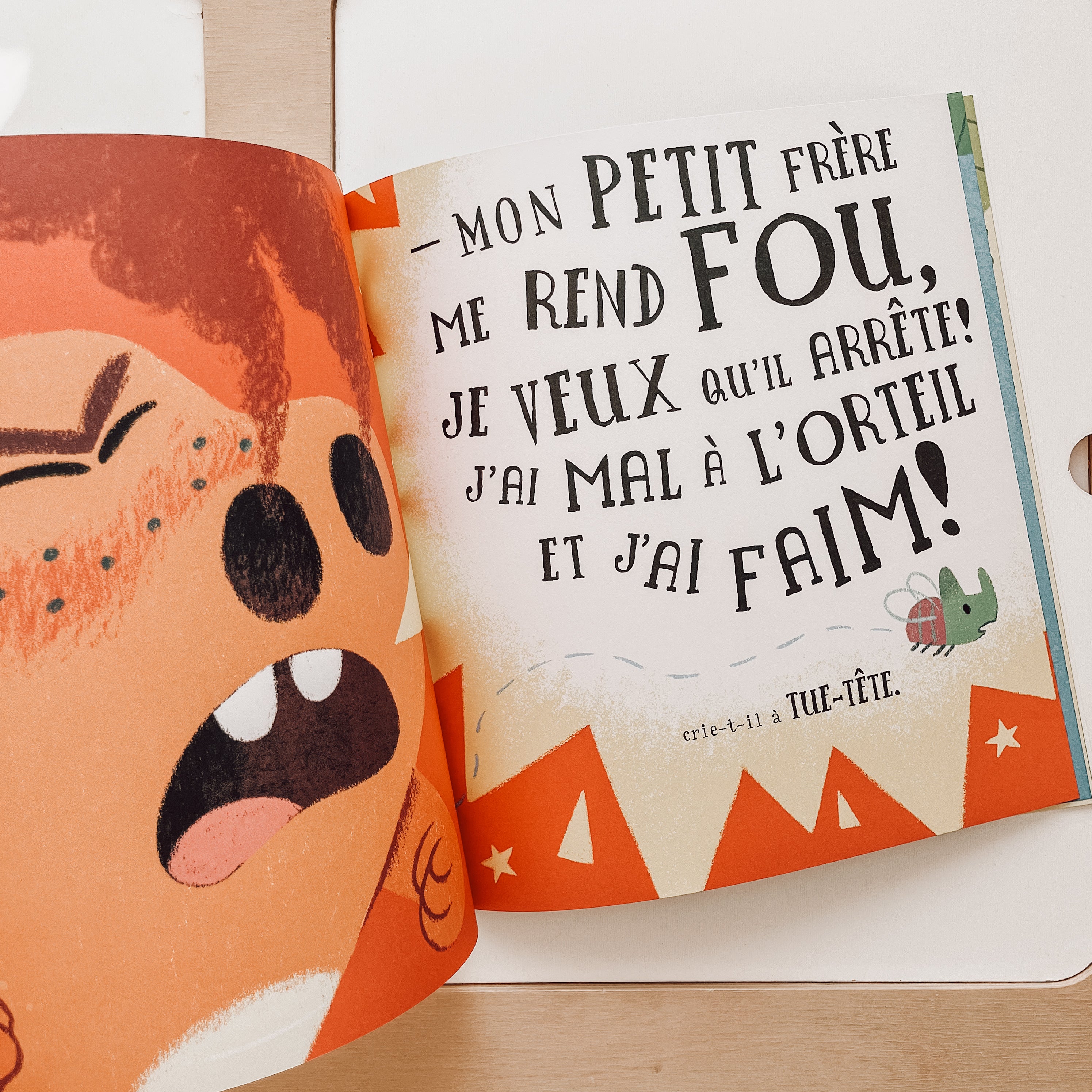 Livre d'histoire - Le dino furieux