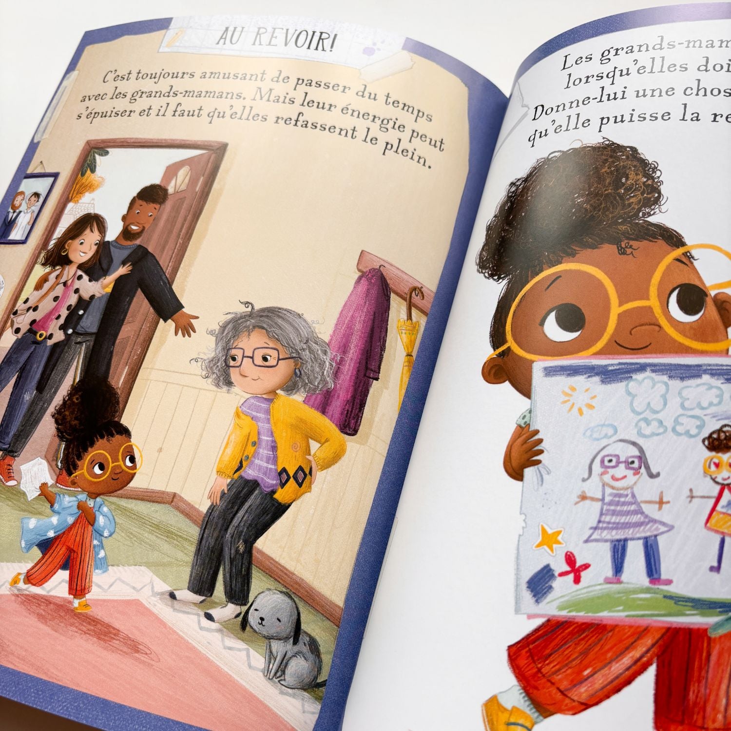 Livre d'histoire - Le guide des grands-mamans