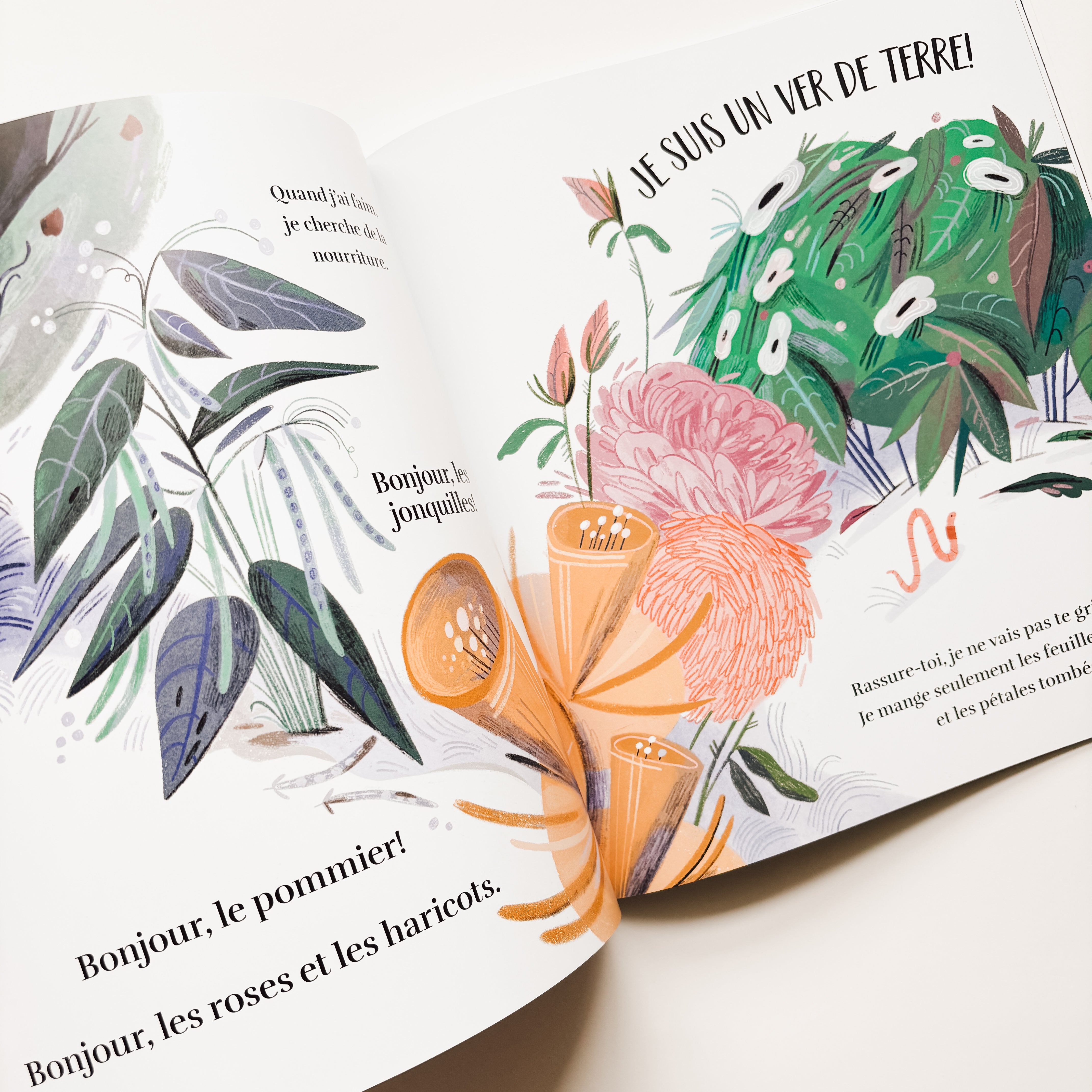 Livre d'histoire - Le monde selon le ver de terre