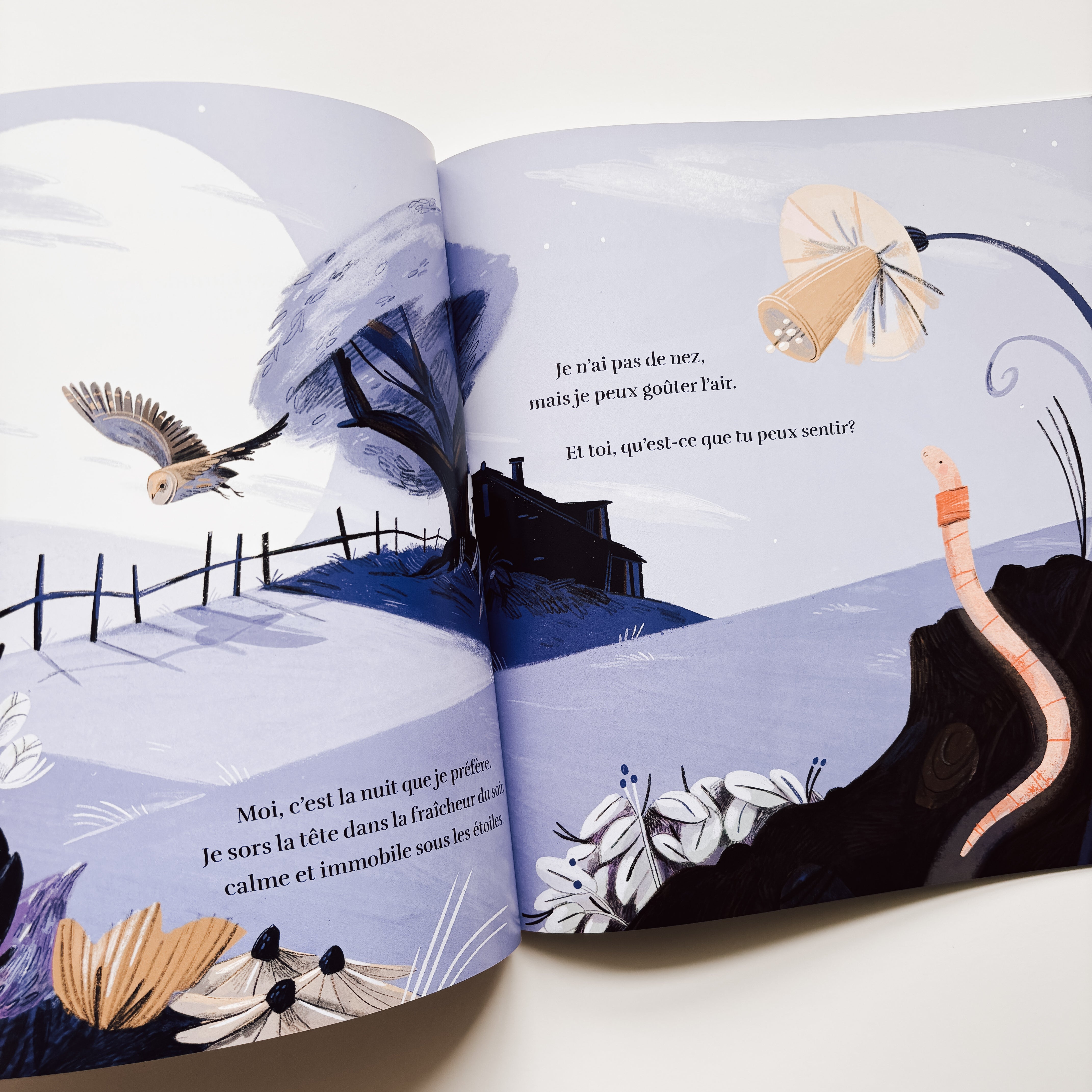 Livre d'histoire - Le monde selon le ver de terre