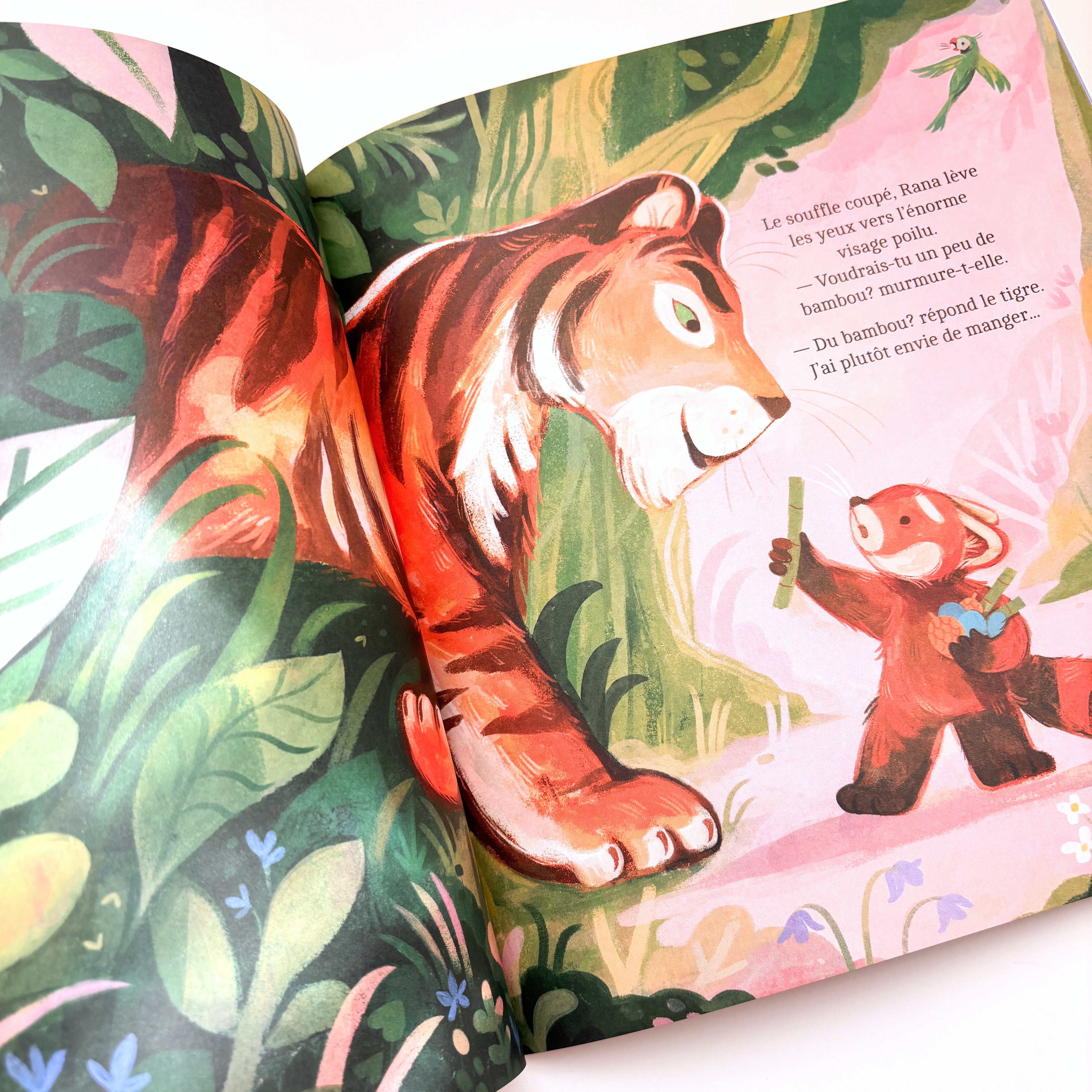 Livre d'histoire - Le panda roux et la perruche