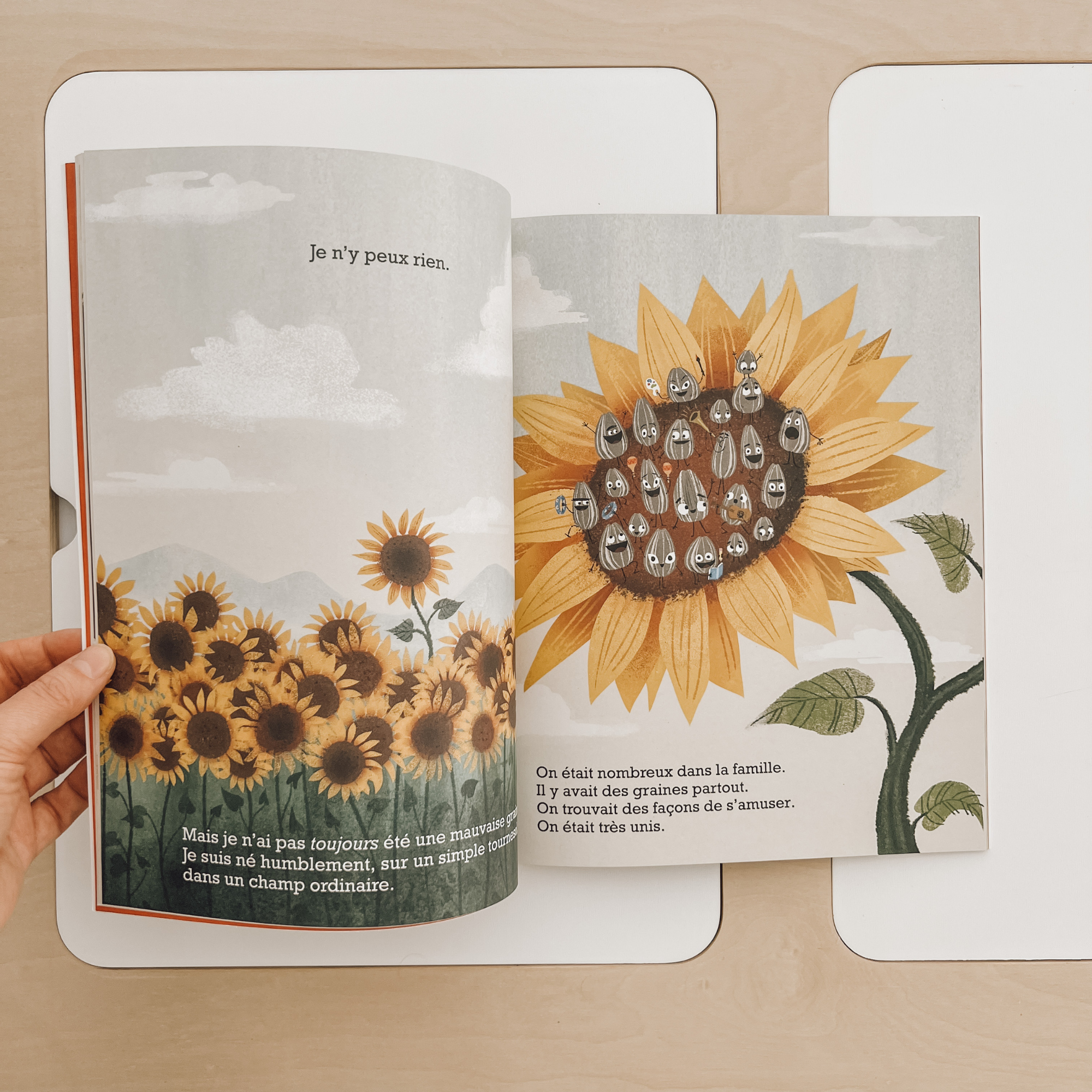 Livre d'histoire - La mauvaise graine