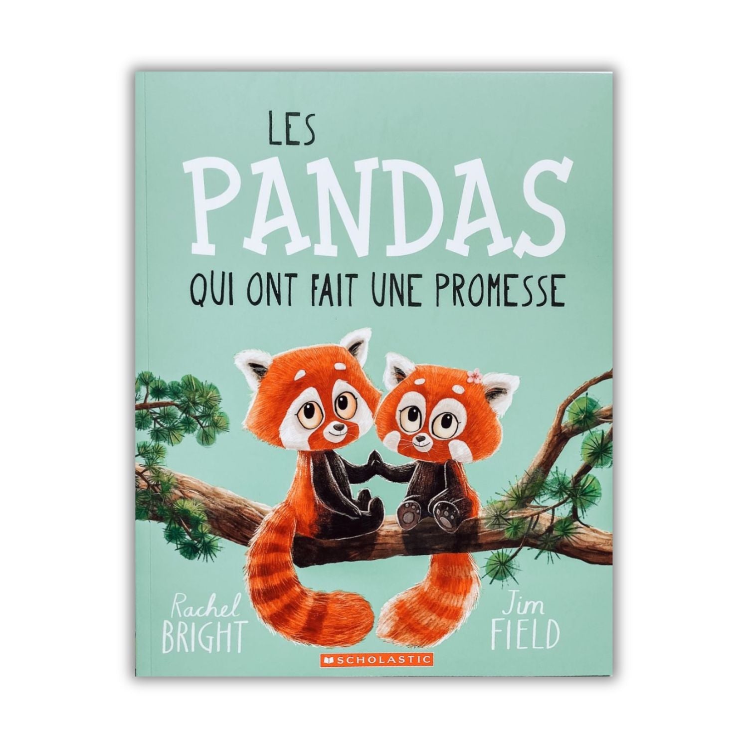 Livre d'histoire - Les pandas qui ont fait une promesse